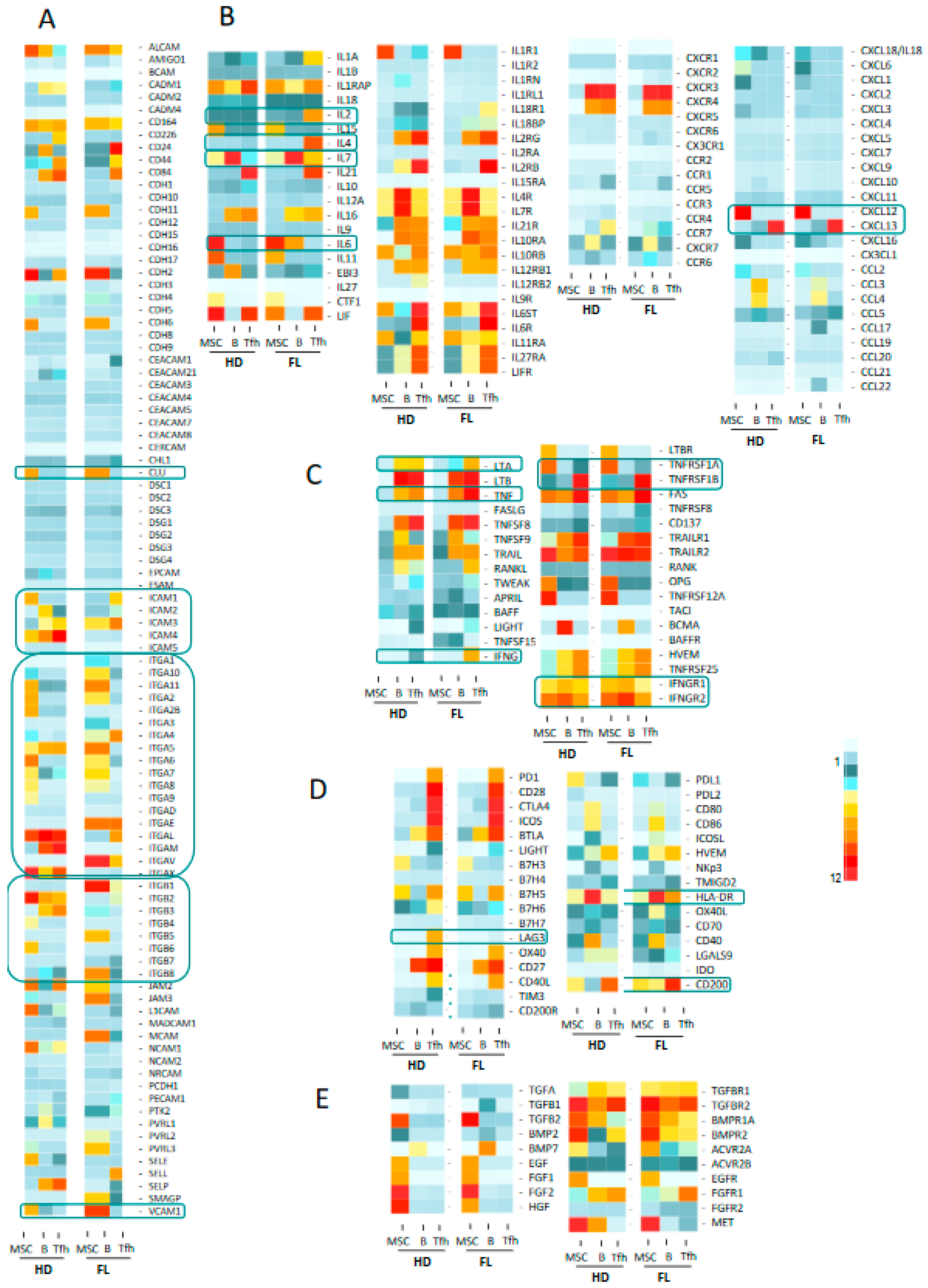 Cancers 12 02865 g003 Cancers 12 02865 g003