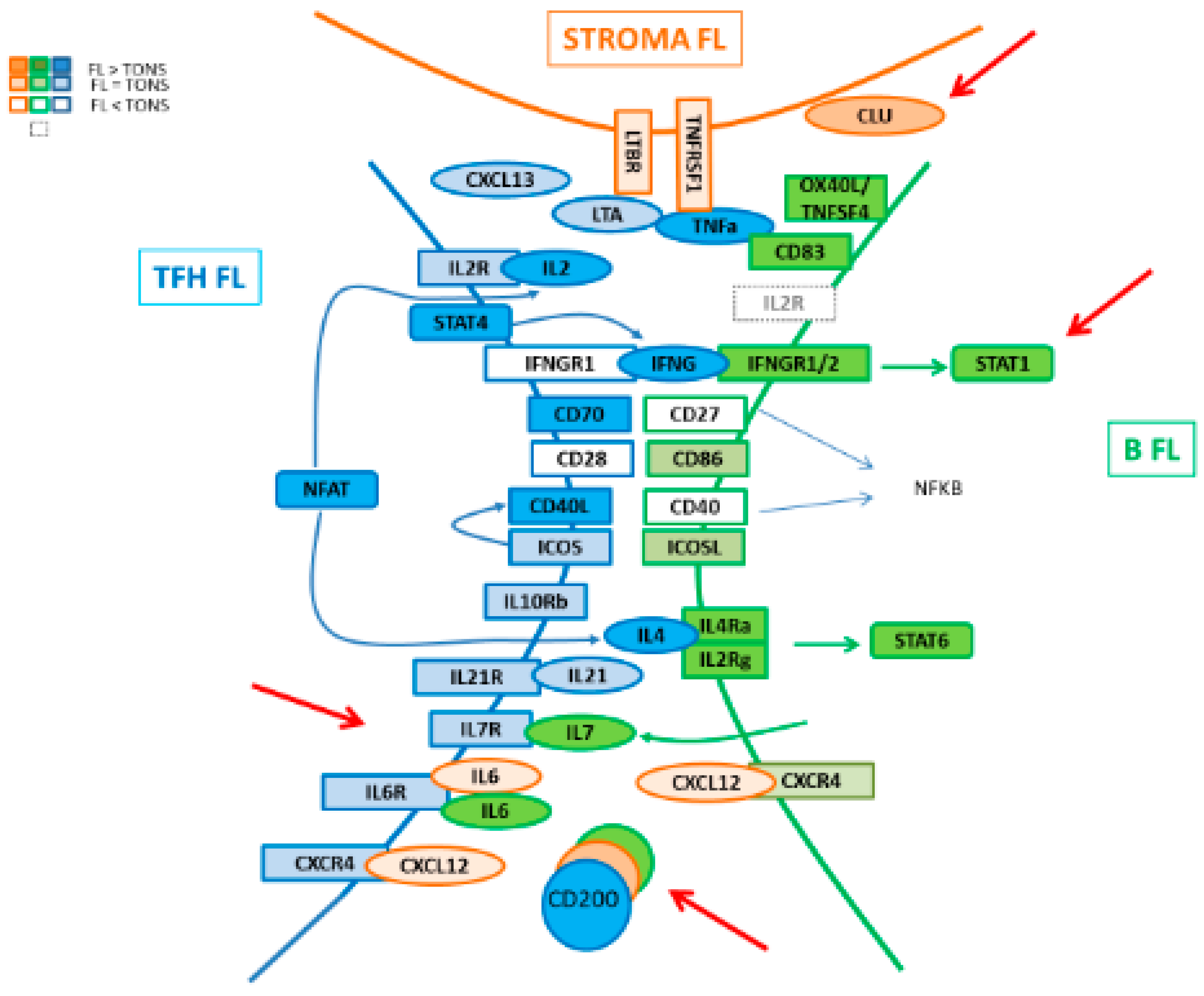 Cancers 12 02865 g008 Cancers 12 02865 g008