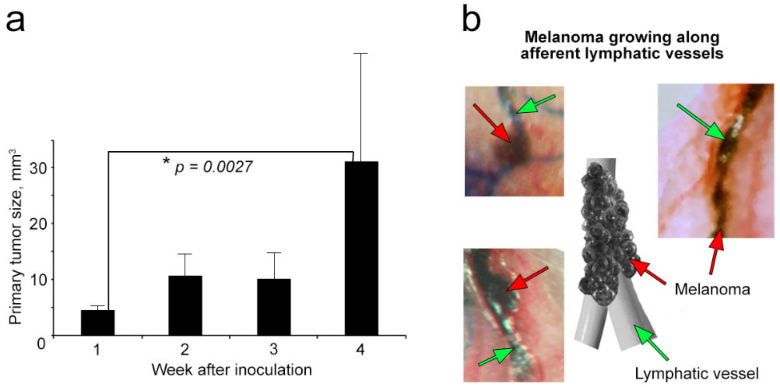 Cancers 12 02866 g003 Cancers 12 02866 g003