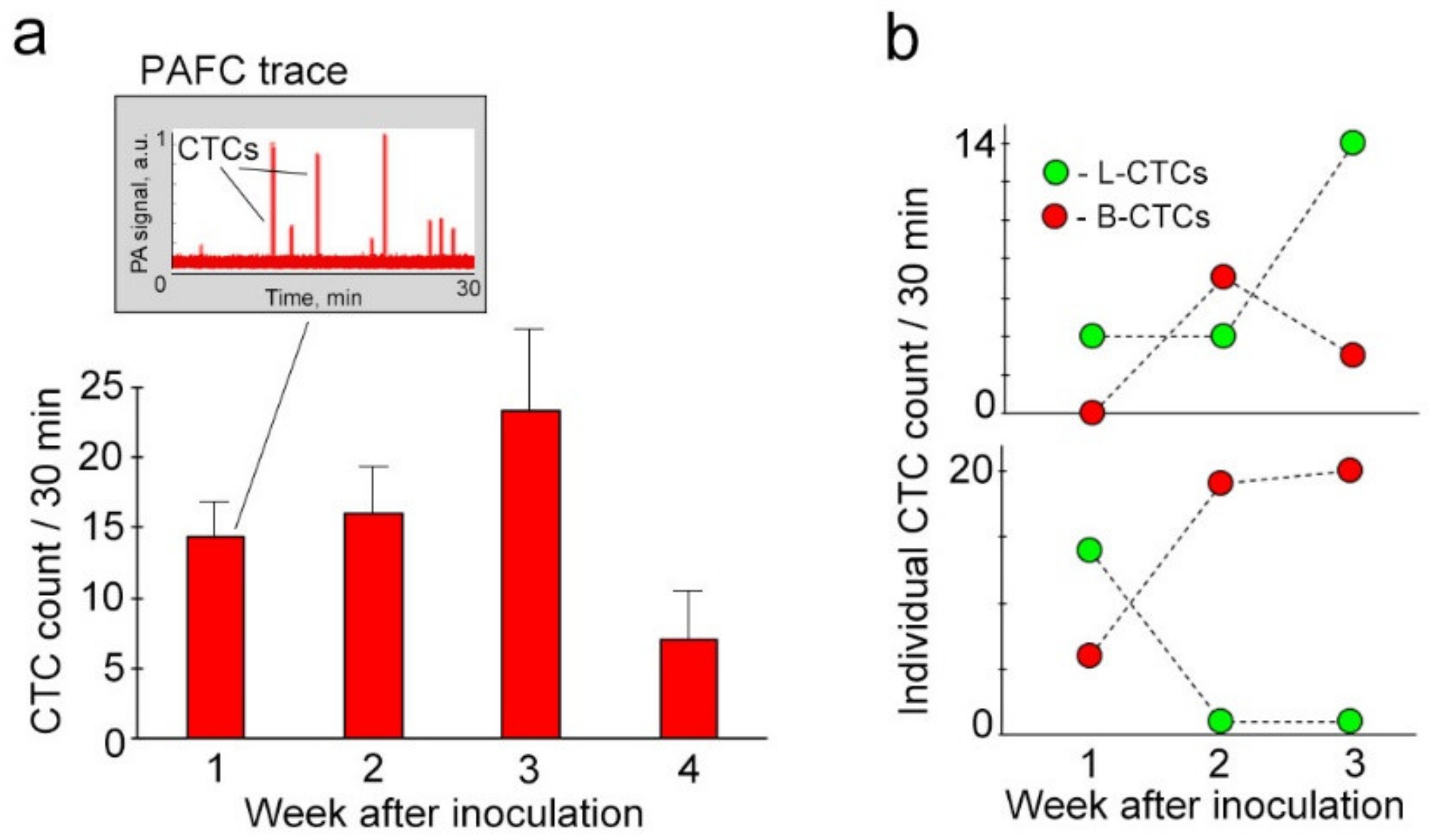 Cancers 12 02866 g006 Cancers 12 02866 g006