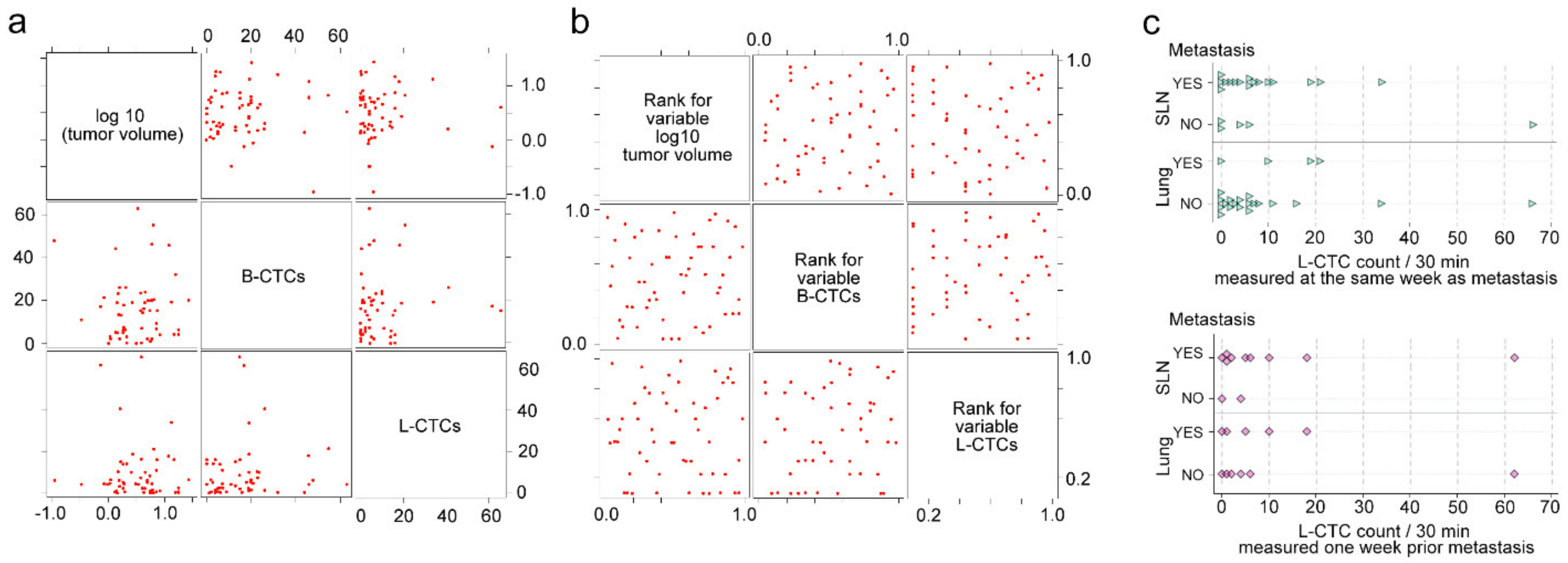 Cancers 12 02866 g007 Cancers 12 02866 g007