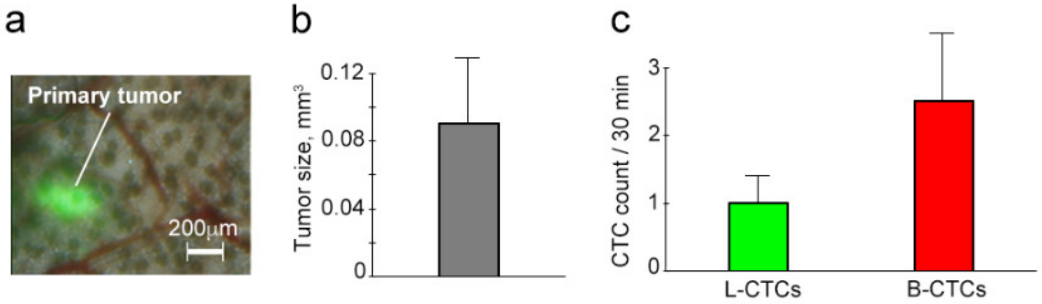 Cancers 12 02866 g008 Cancers 12 02866 g008