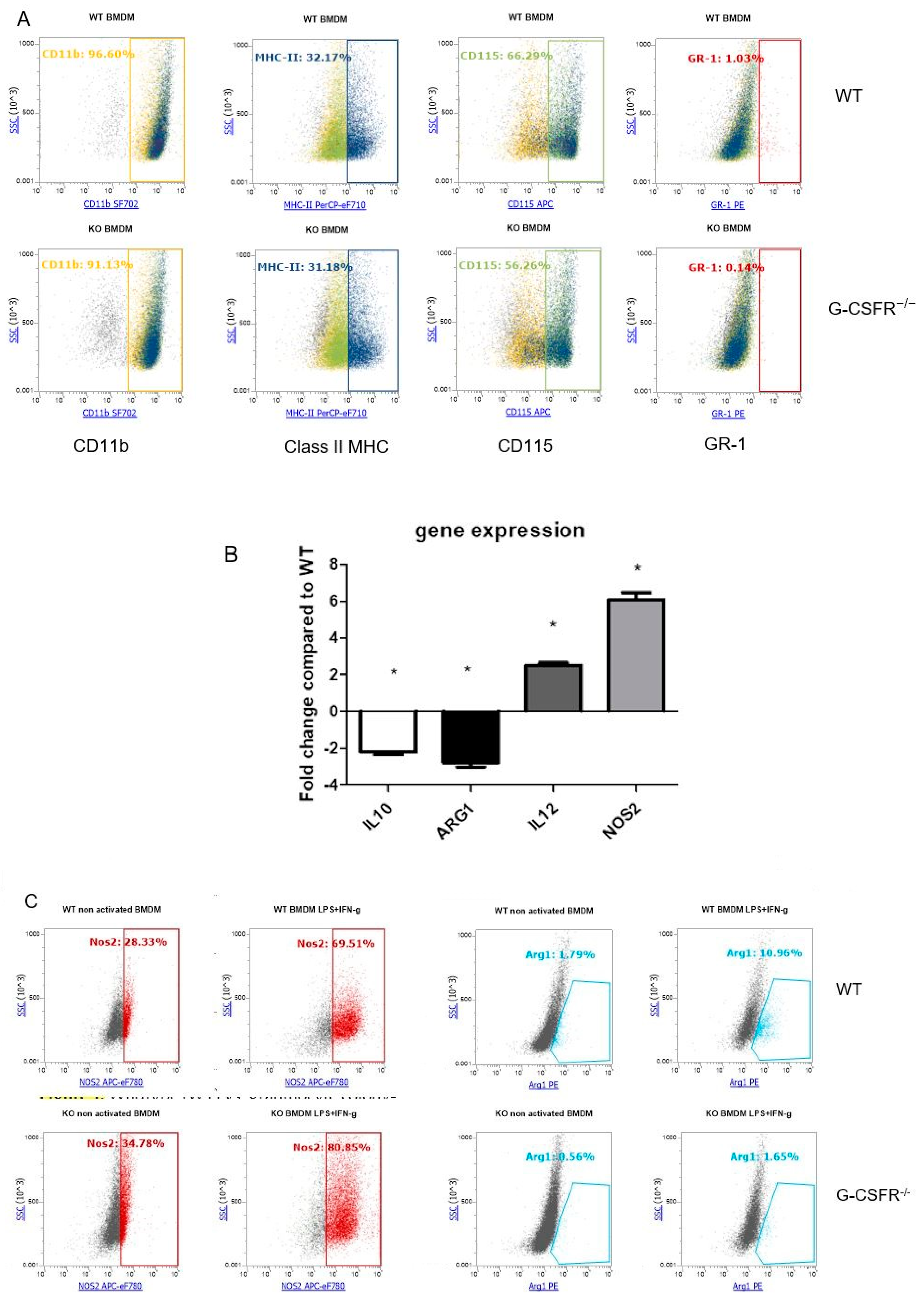 Cancers 12 02868 g001 Cancers 12 02868 g001