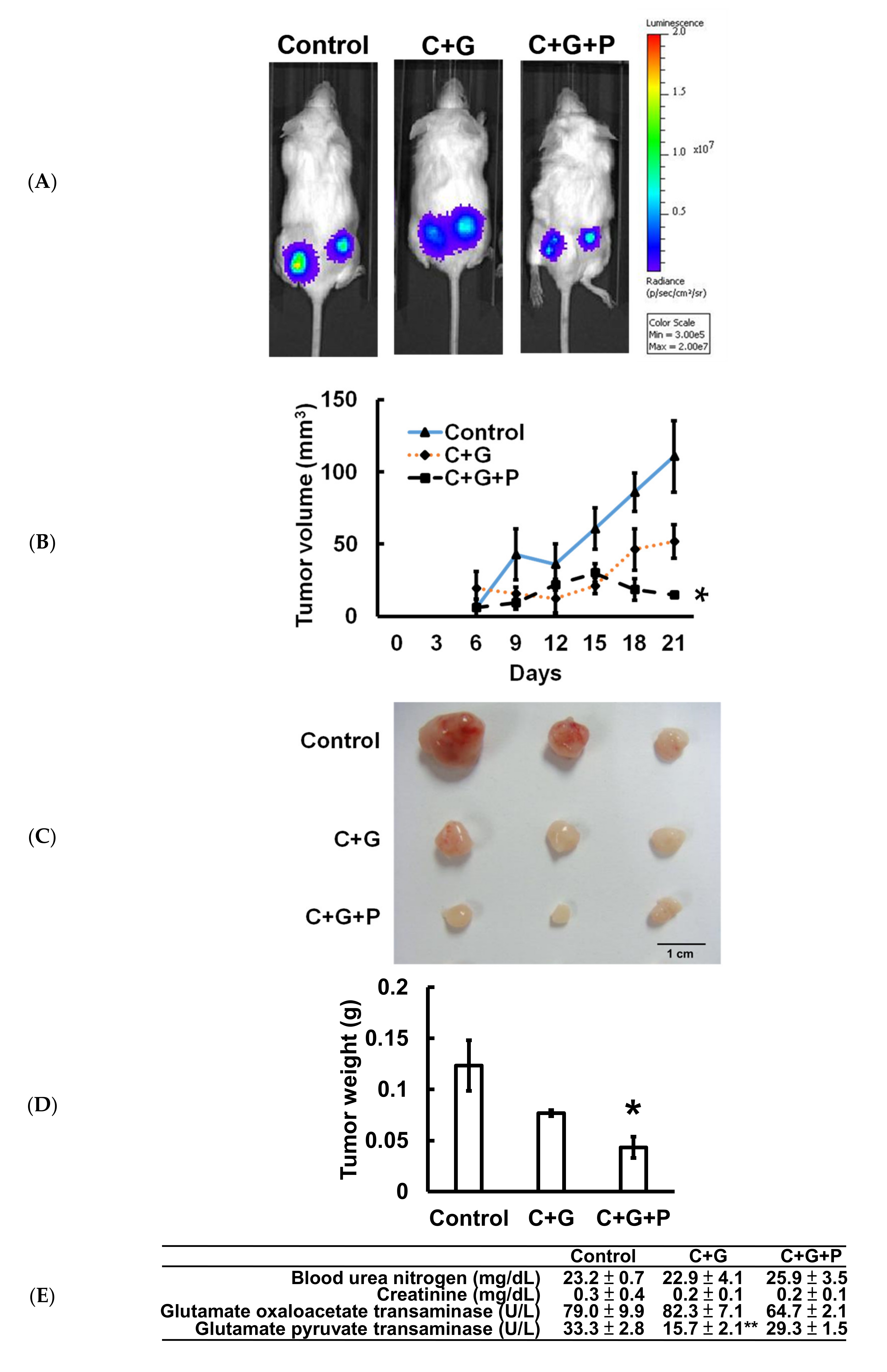Cancers 12 02869 g006a