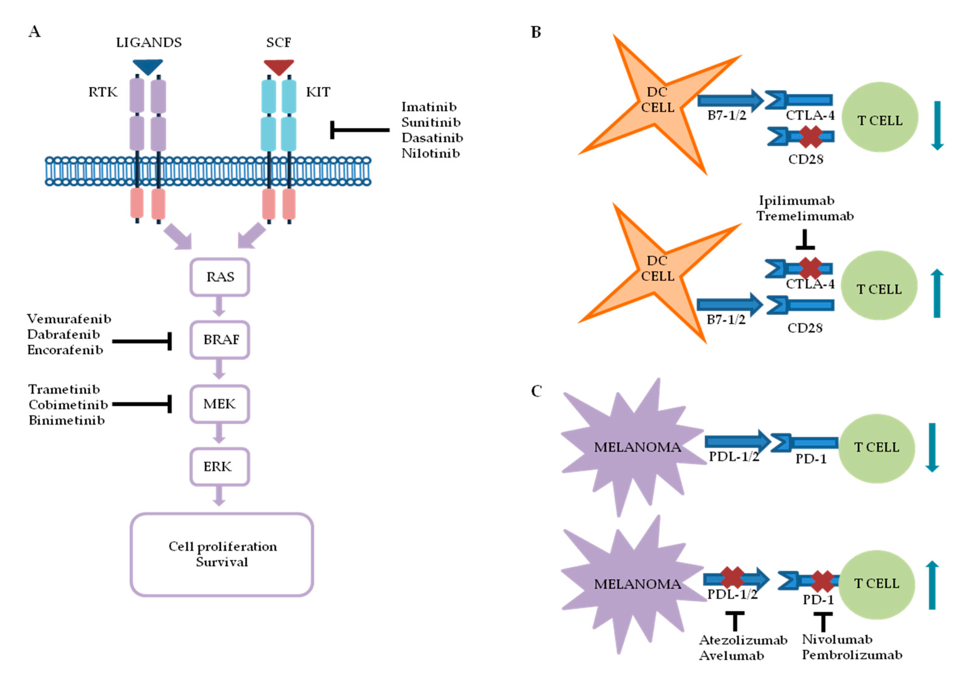 Cancers 12 02870 g001