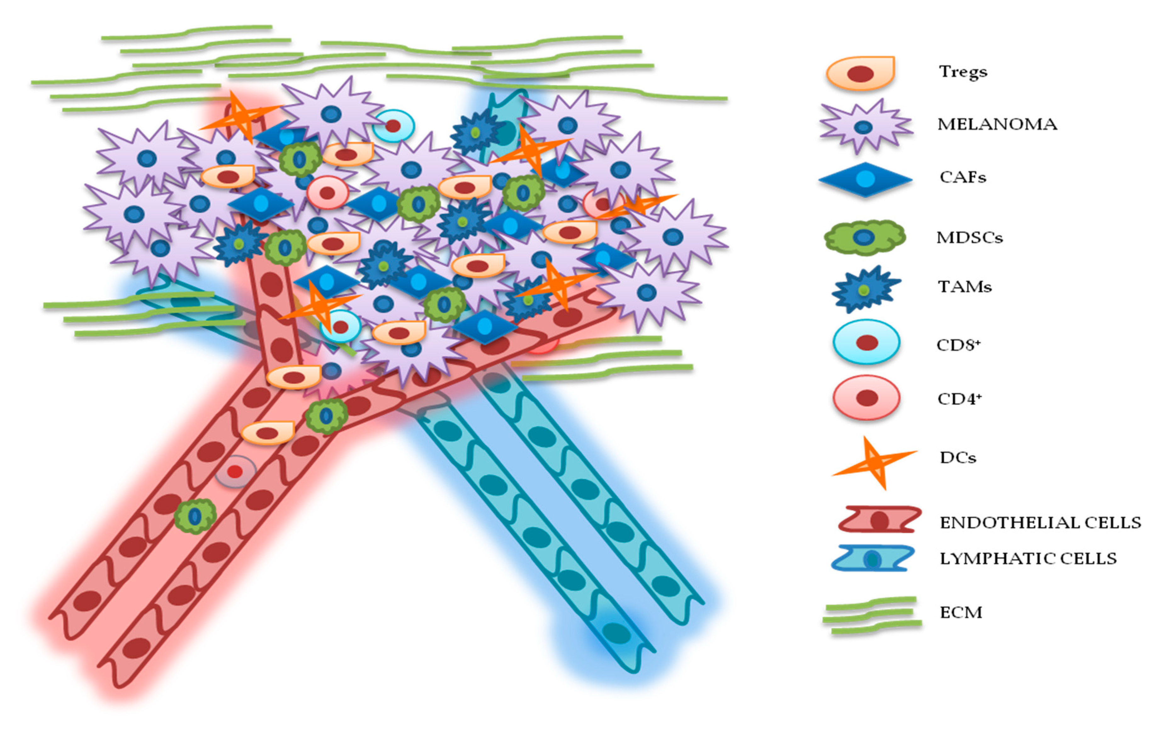 Cancers 12 02870 g002