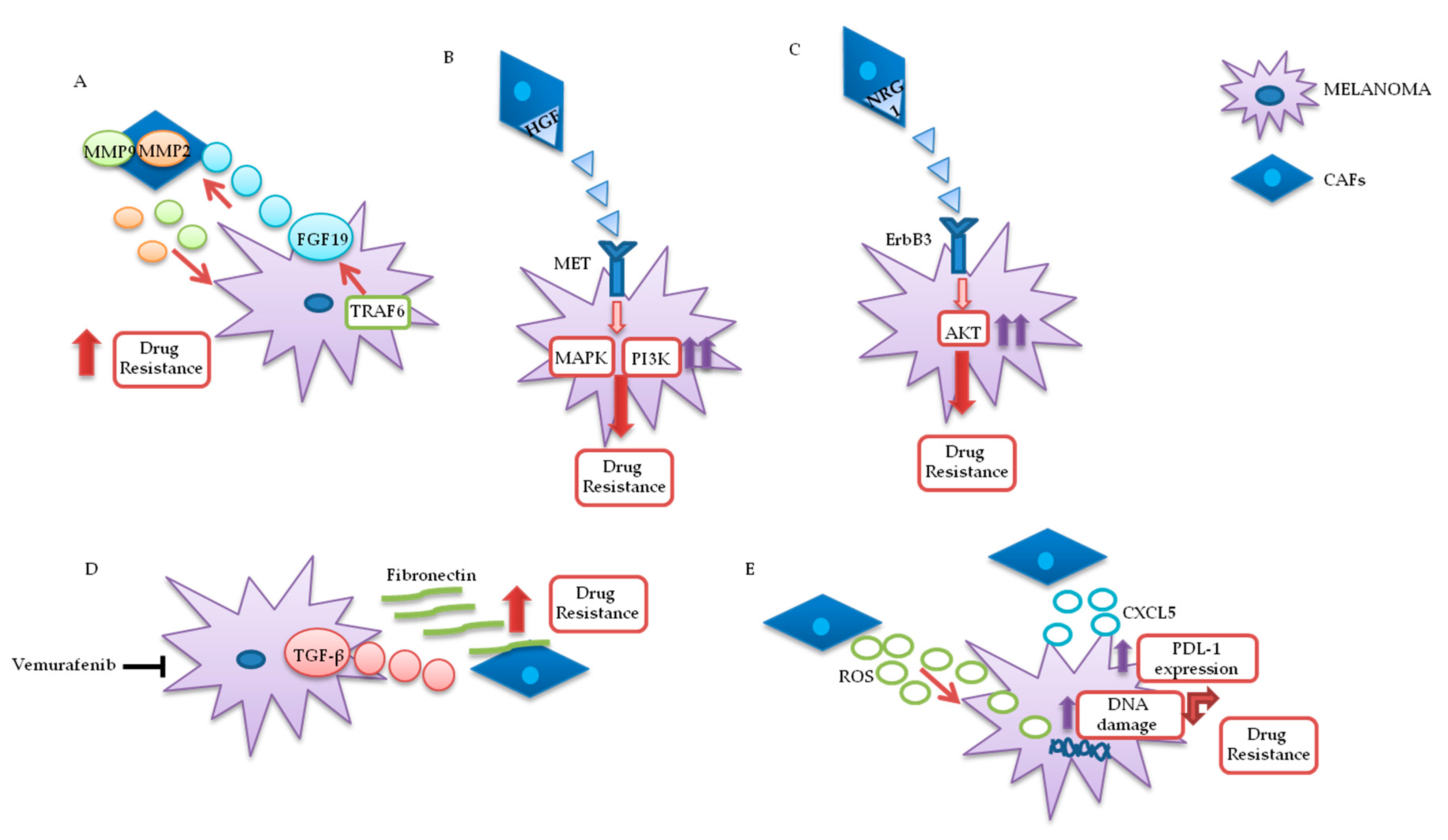 Cancers 12 02870 g003