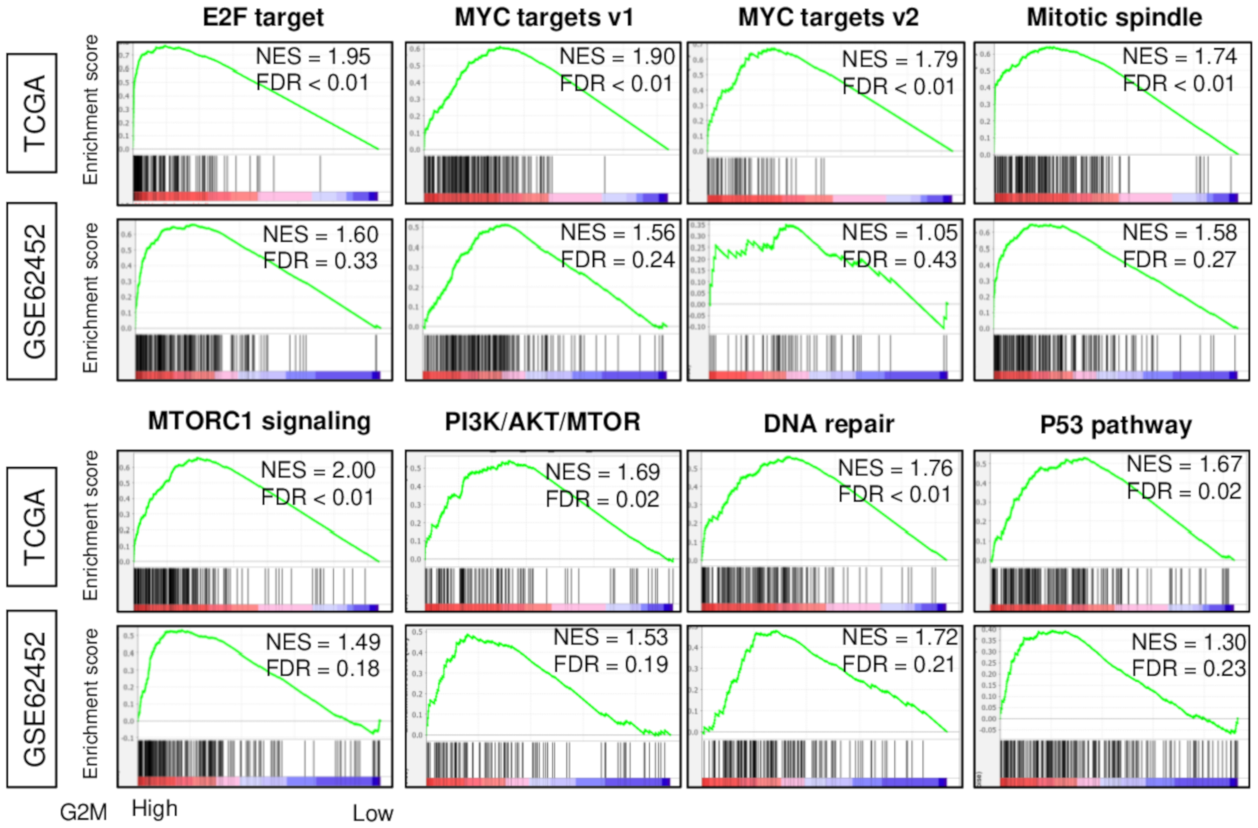 Cancers 12 02871 g001 Cancers 12 02871 g001