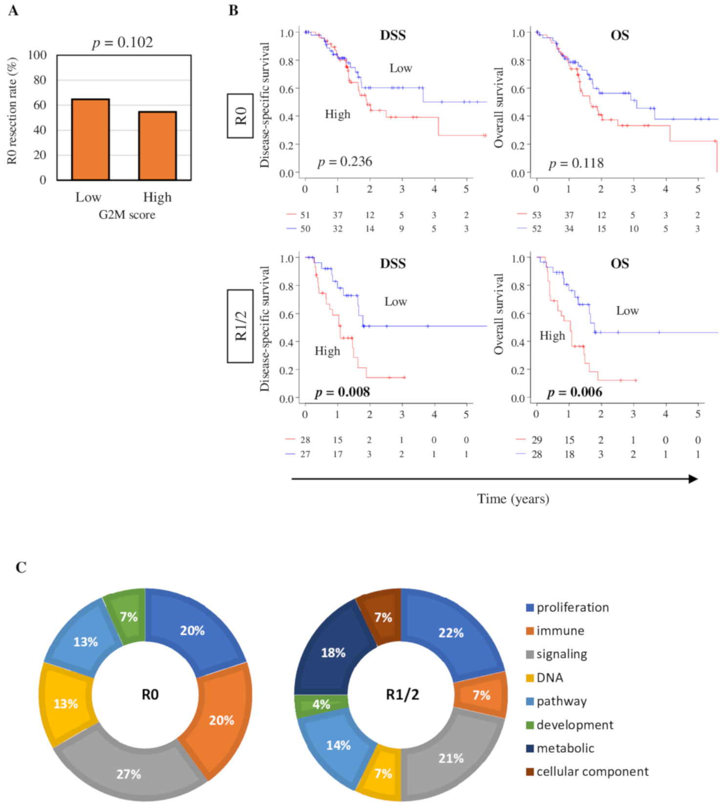 Cancers 12 02871 g006 Cancers 12 02871 g006