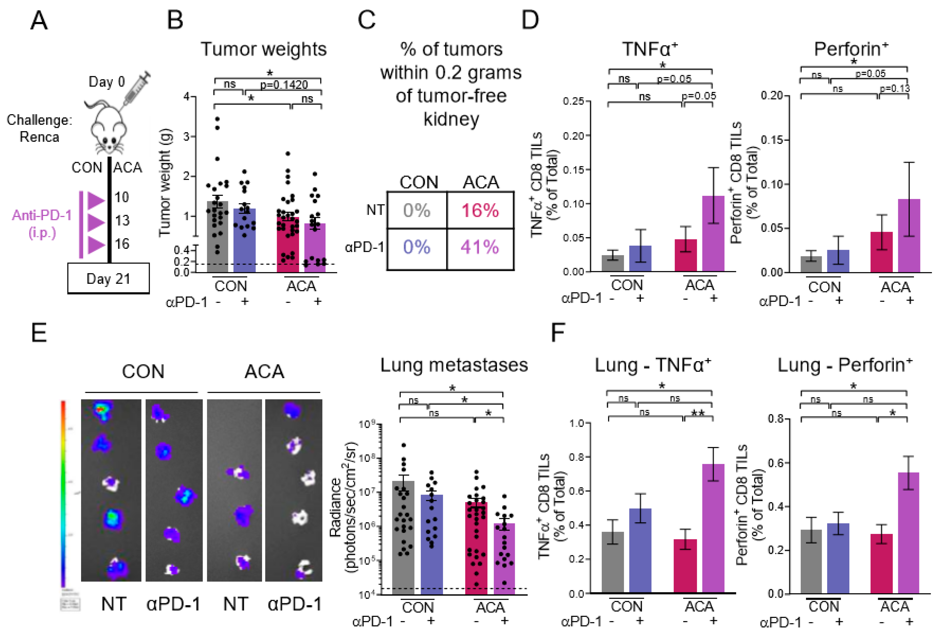 Cancers 12 02872 g005