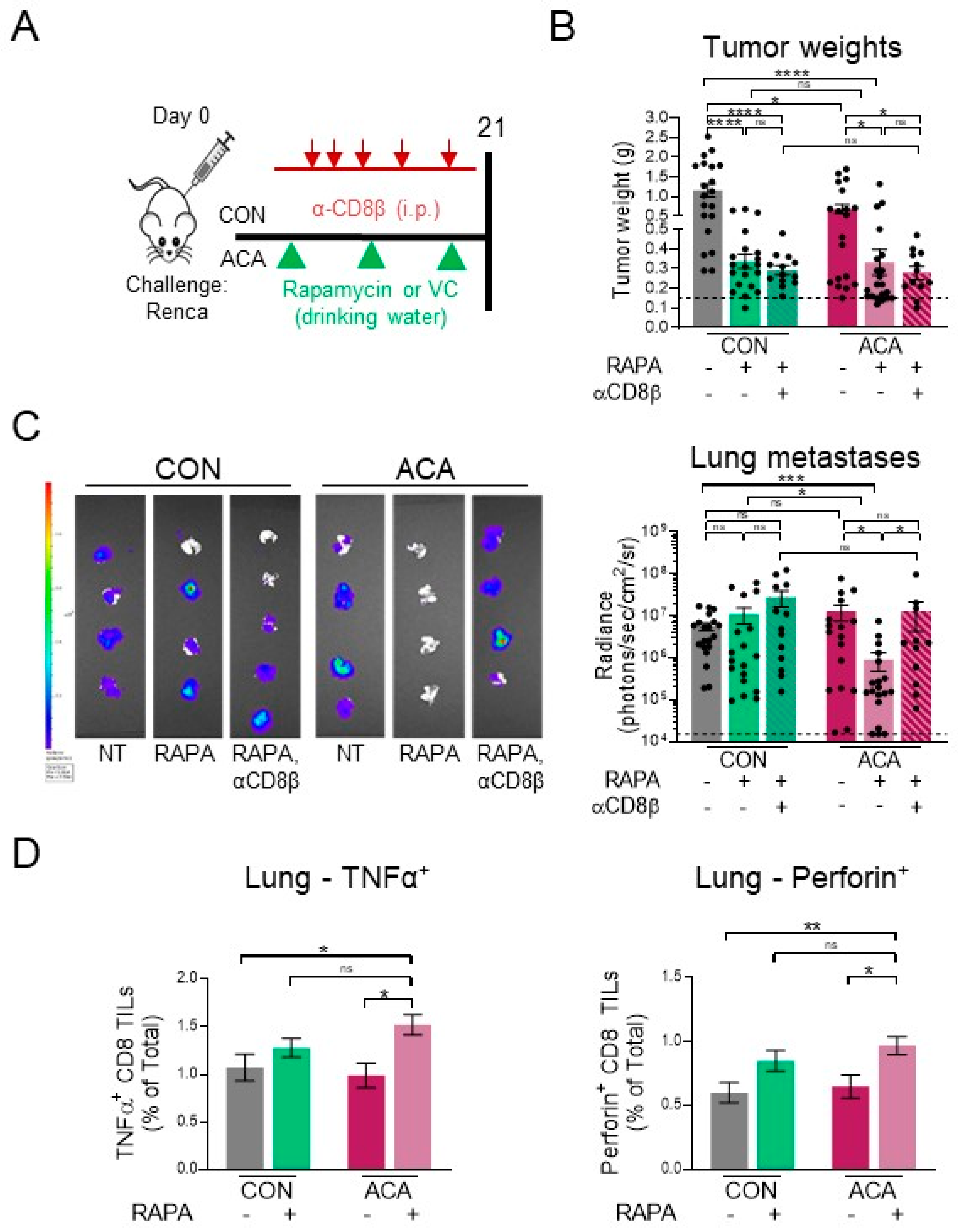 Cancers 12 02872 g006