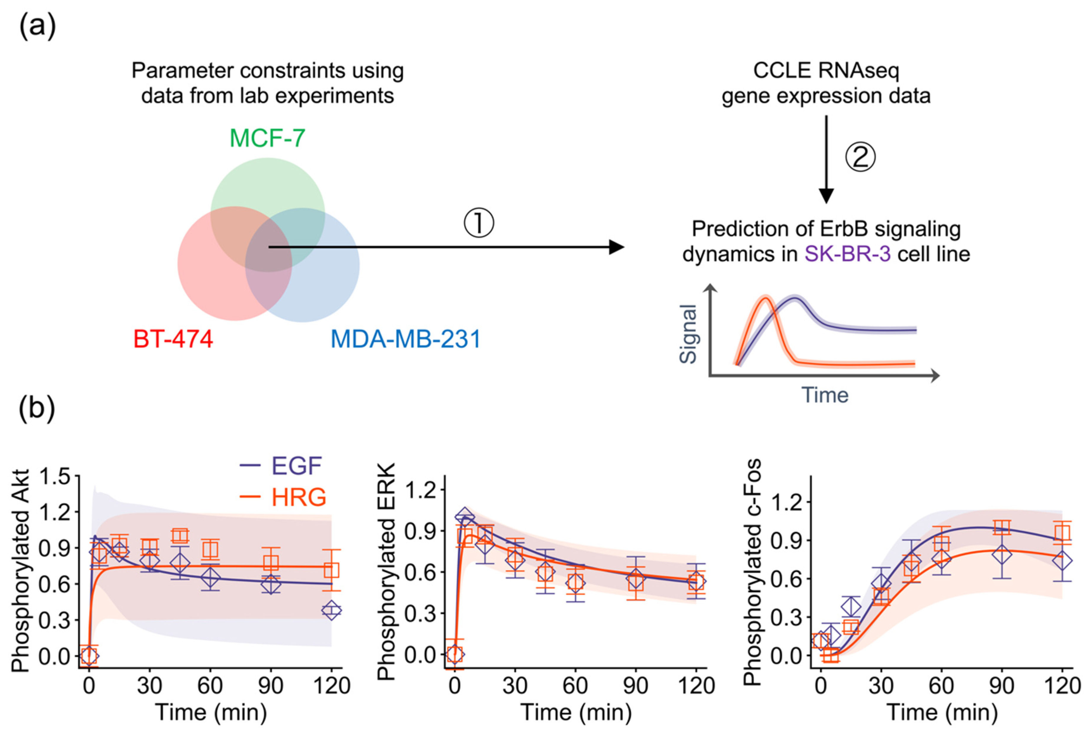 Cancers 12 02878 g004 Cancers 12 02878 g004