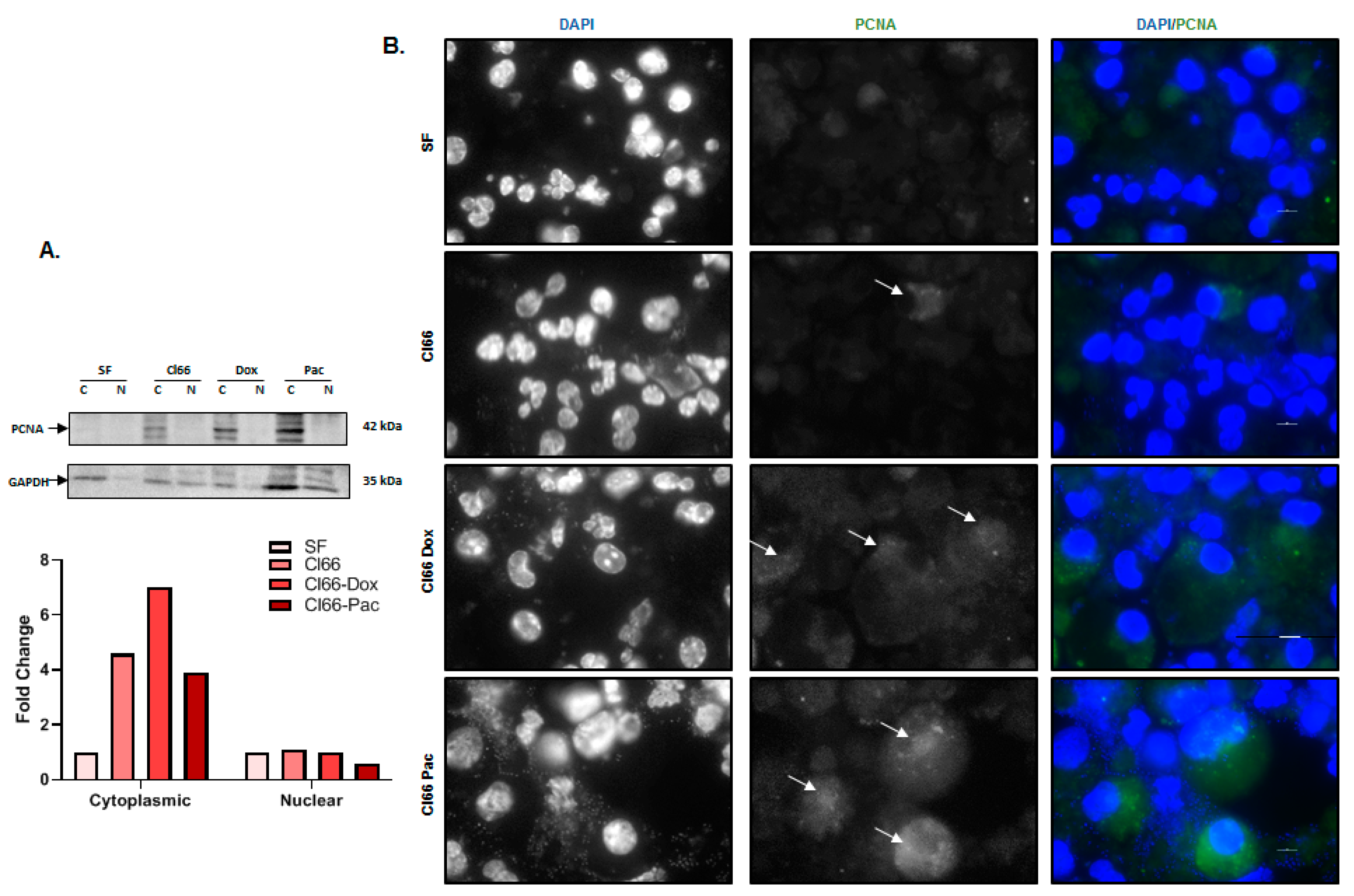 Cancers 12 02884 g003 Cancers 12 02884 g003