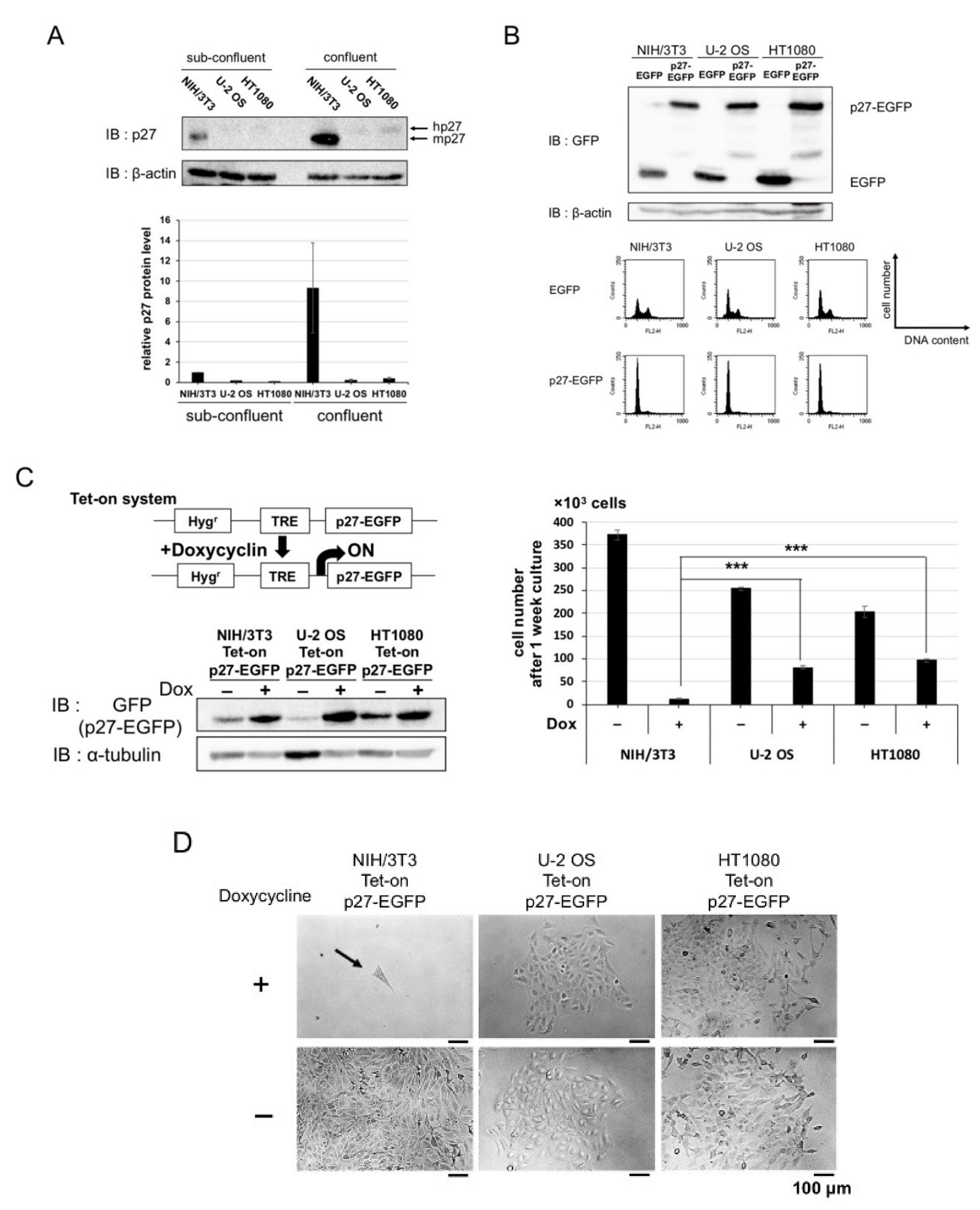 Cancers 12 02886 g001 Cancers 12 02886 g001