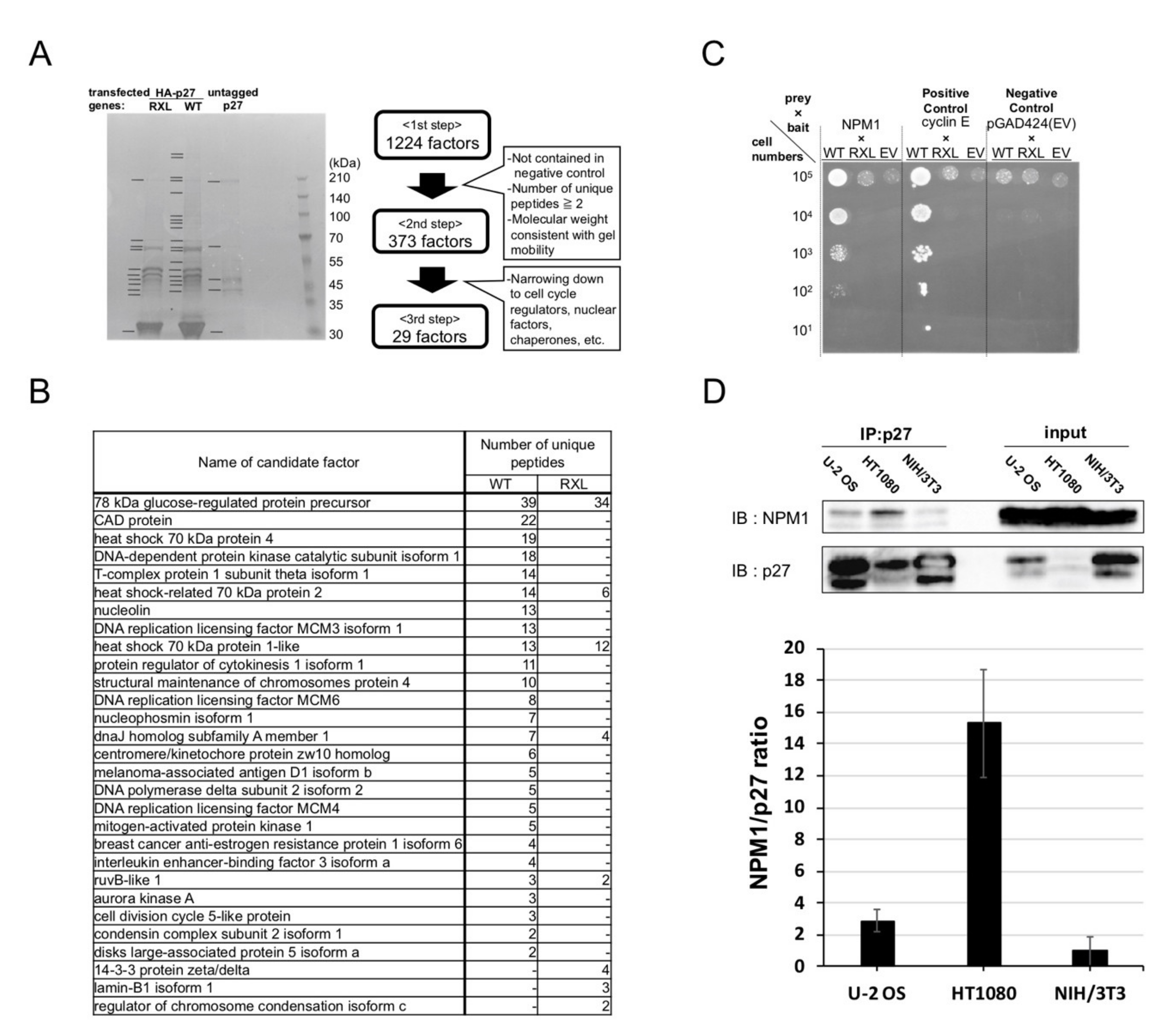 Cancers 12 02886 g002 Cancers 12 02886 g002