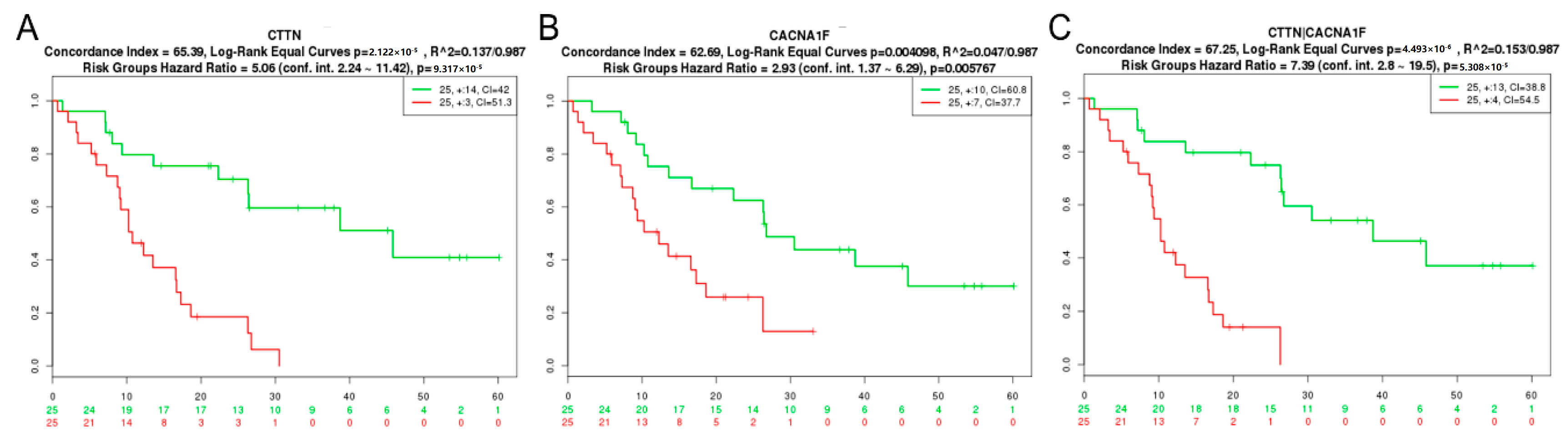 Cancers 12 02888 g001 Cancers 12 02888 g001