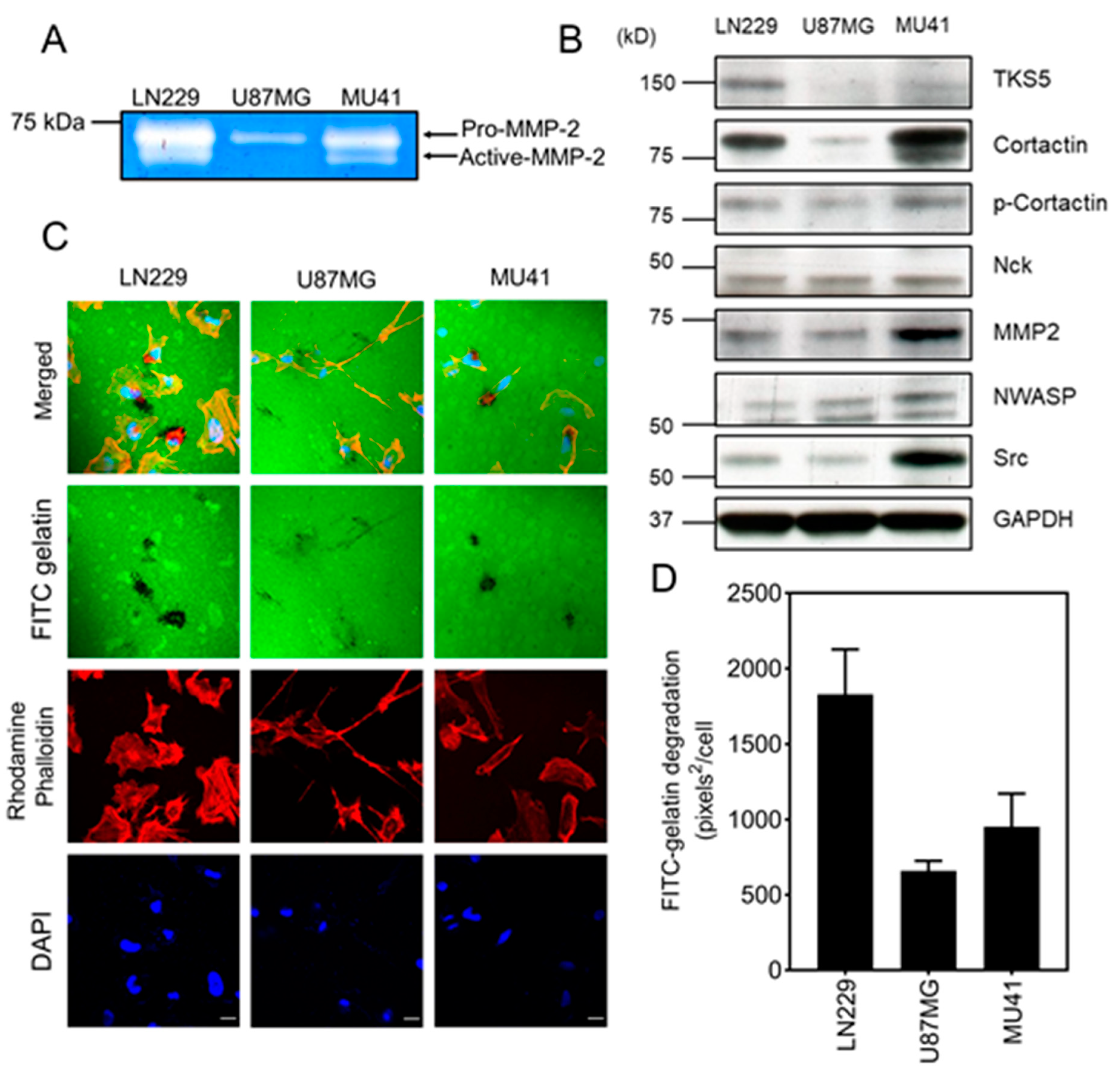 Cancers 12 02888 g002 Cancers 12 02888 g002