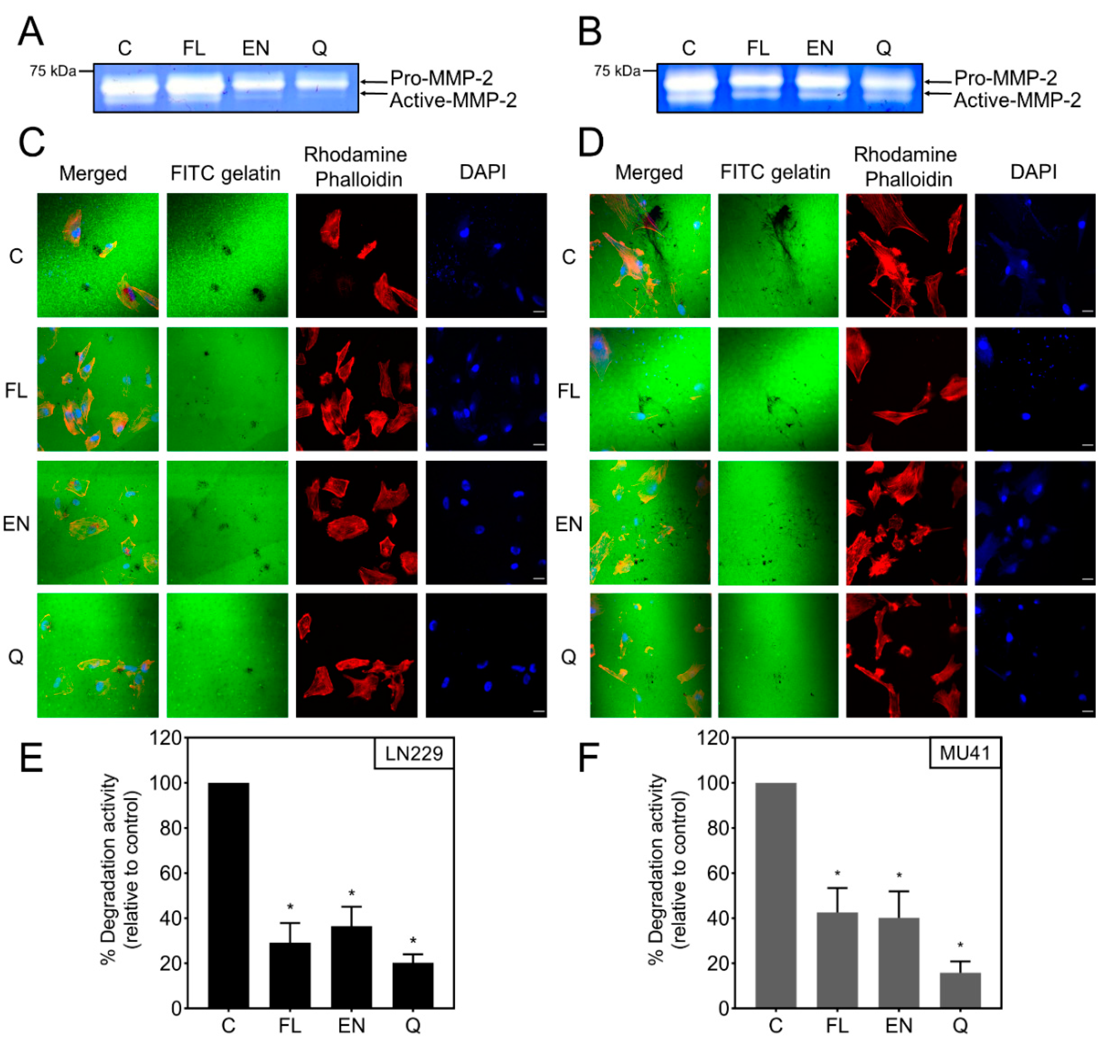 Cancers 12 02888 g004 Cancers 12 02888 g004
