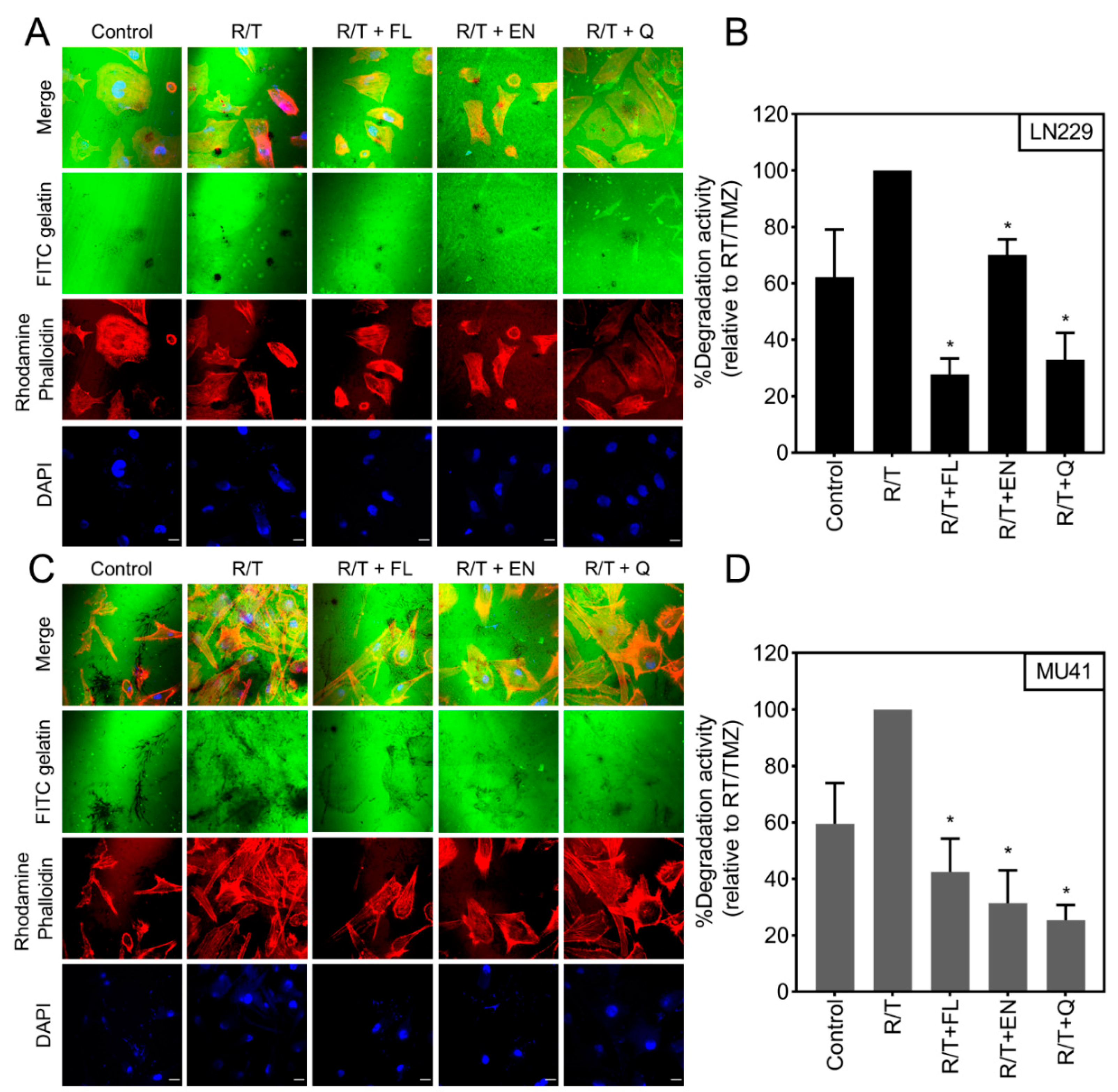 Cancers 12 02888 g006 Cancers 12 02888 g006