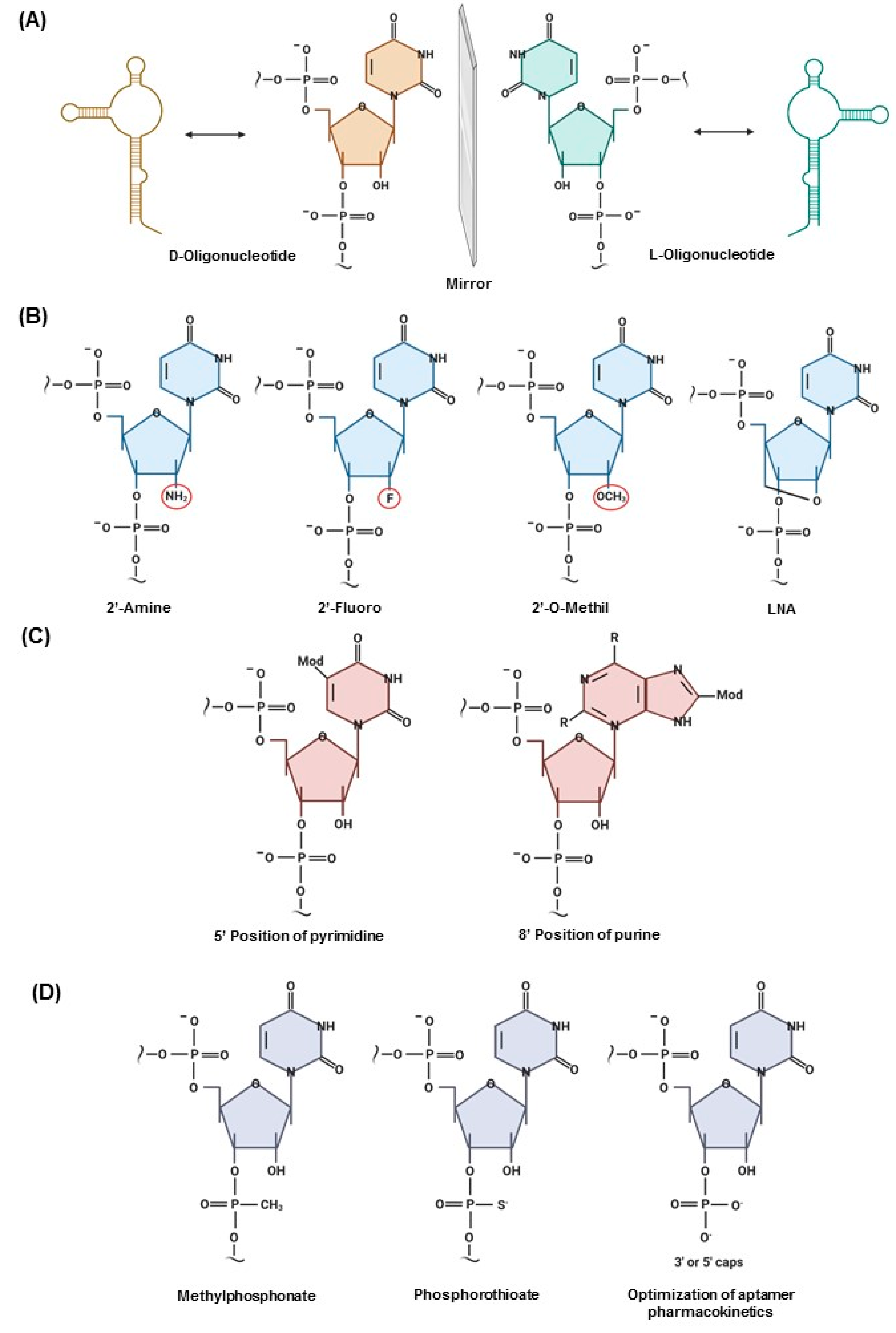 Cancers 12 02889 g001