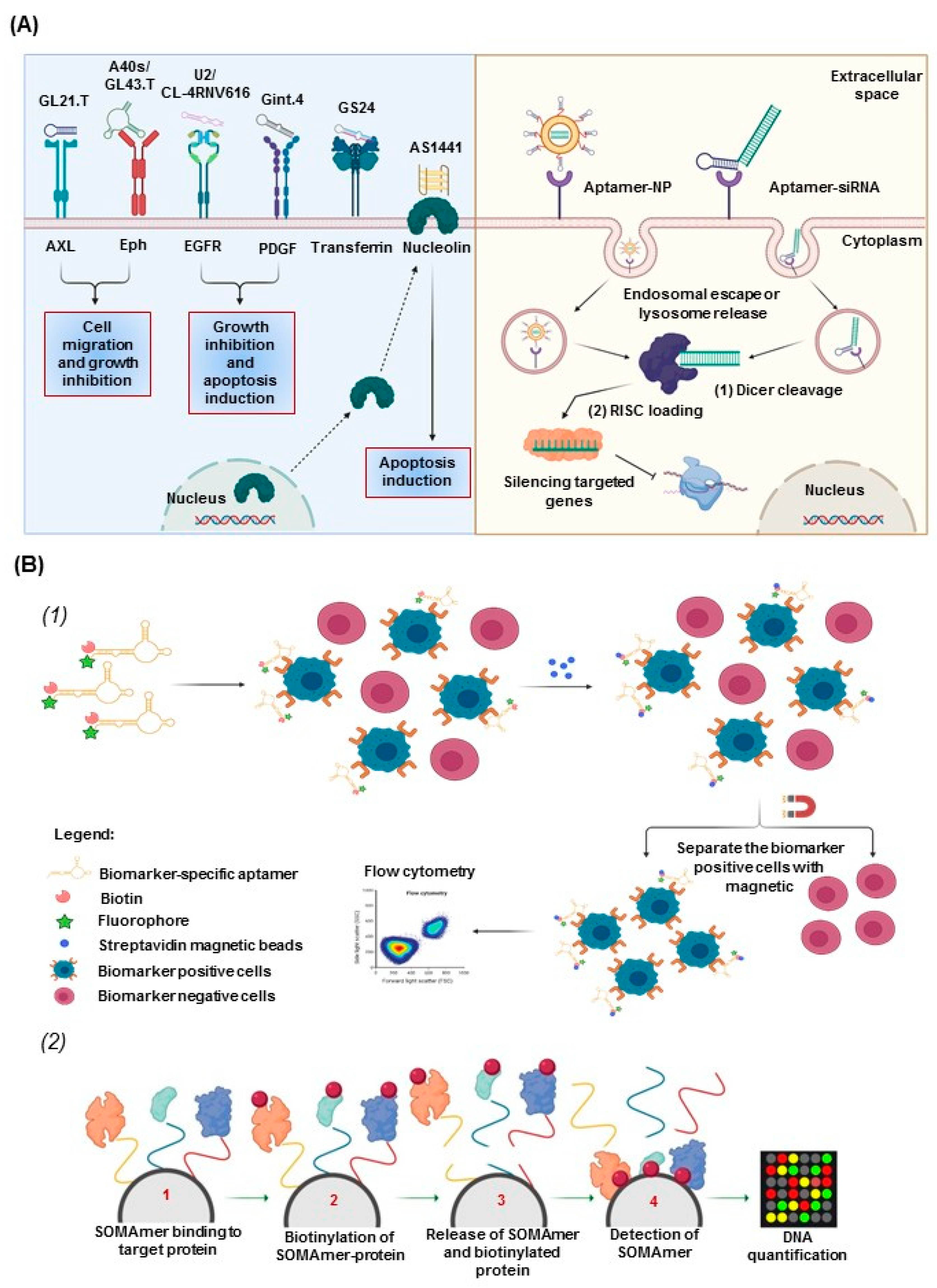 Cancers 12 02889 g002