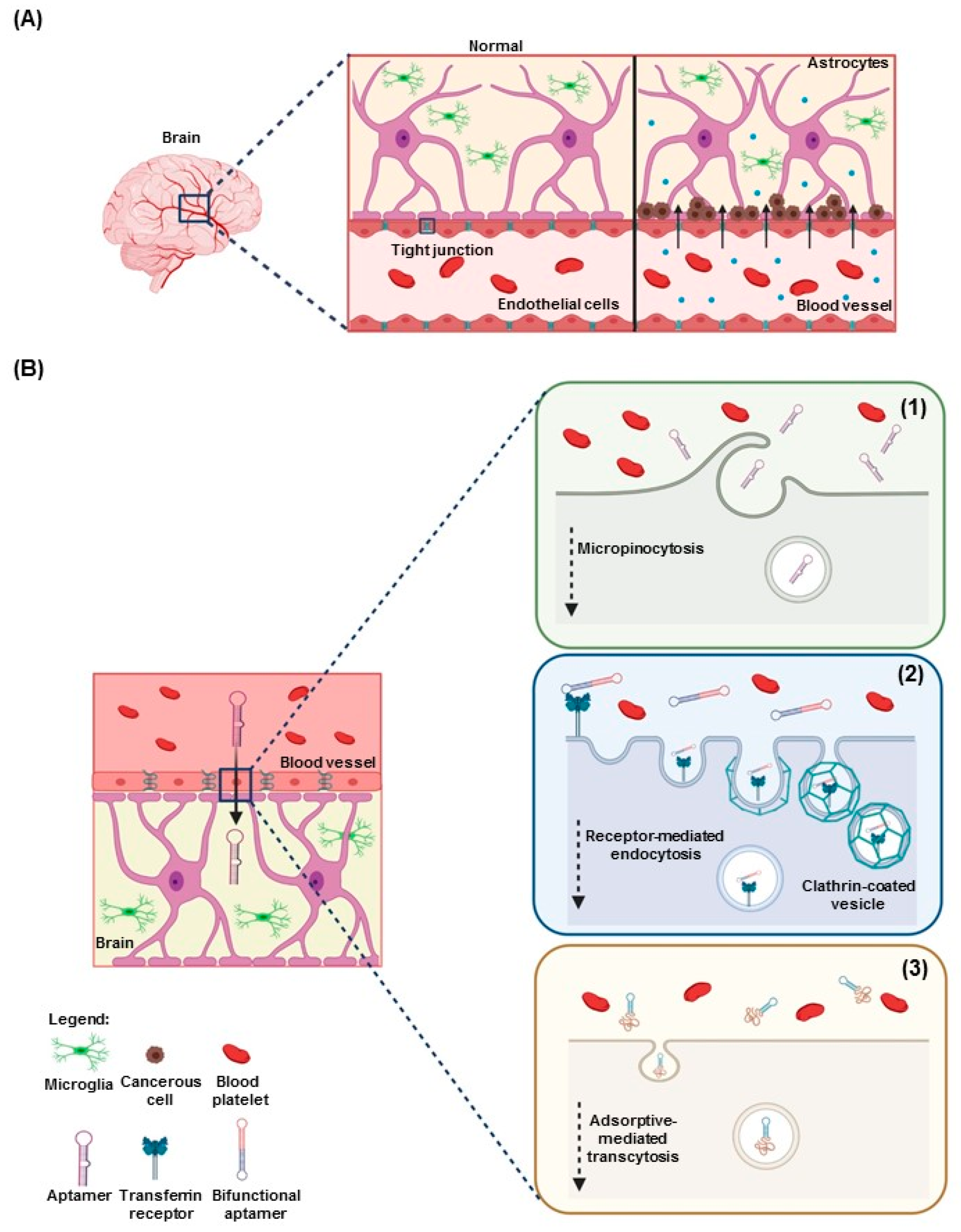 Cancers 12 02889 g003