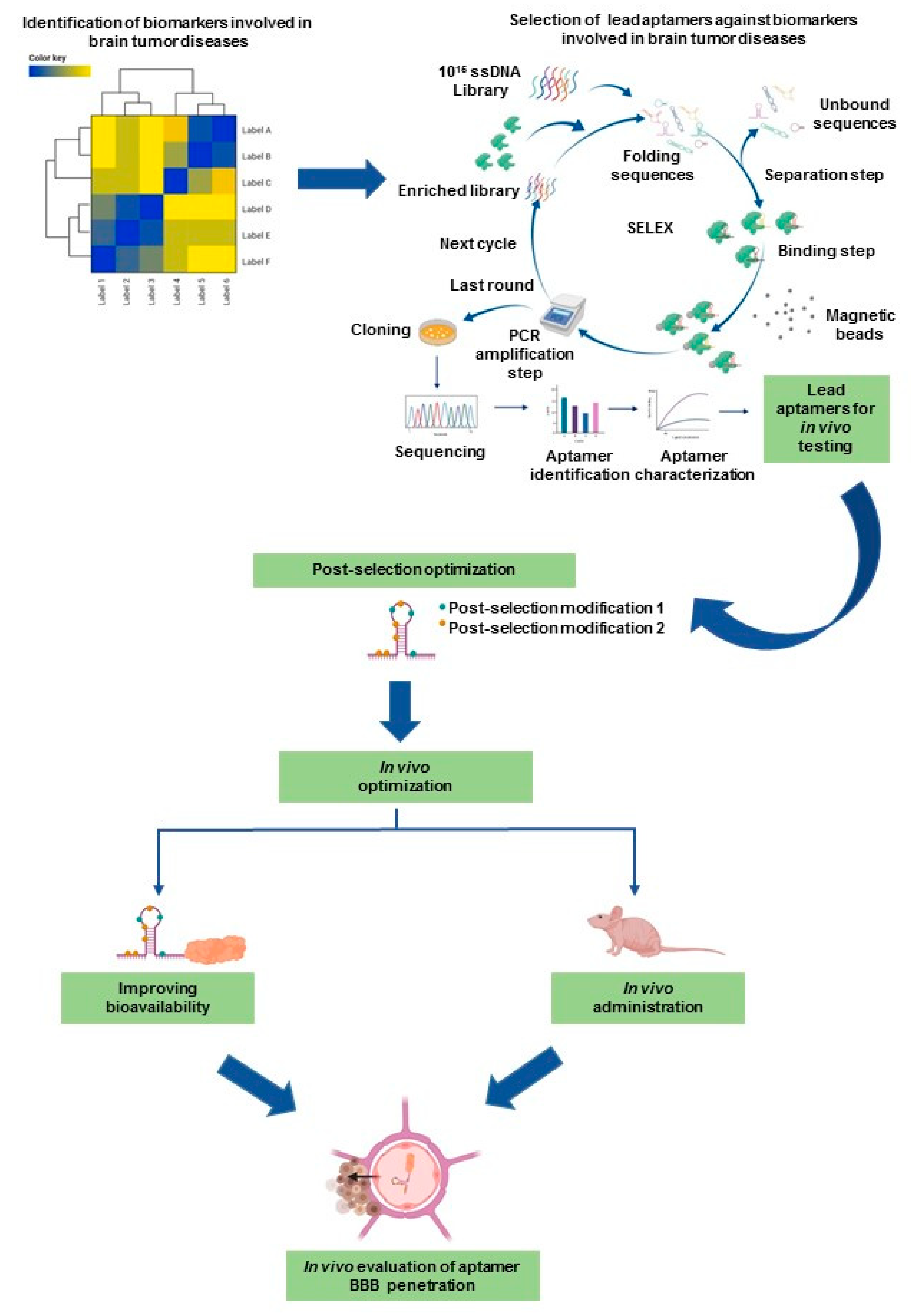 Cancers 12 02889 g004