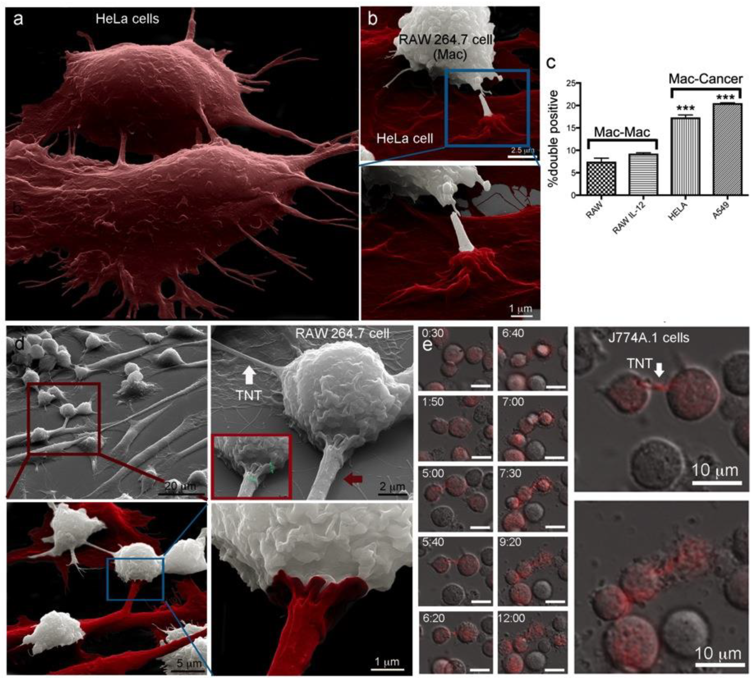 Cancers 12 02892 g005