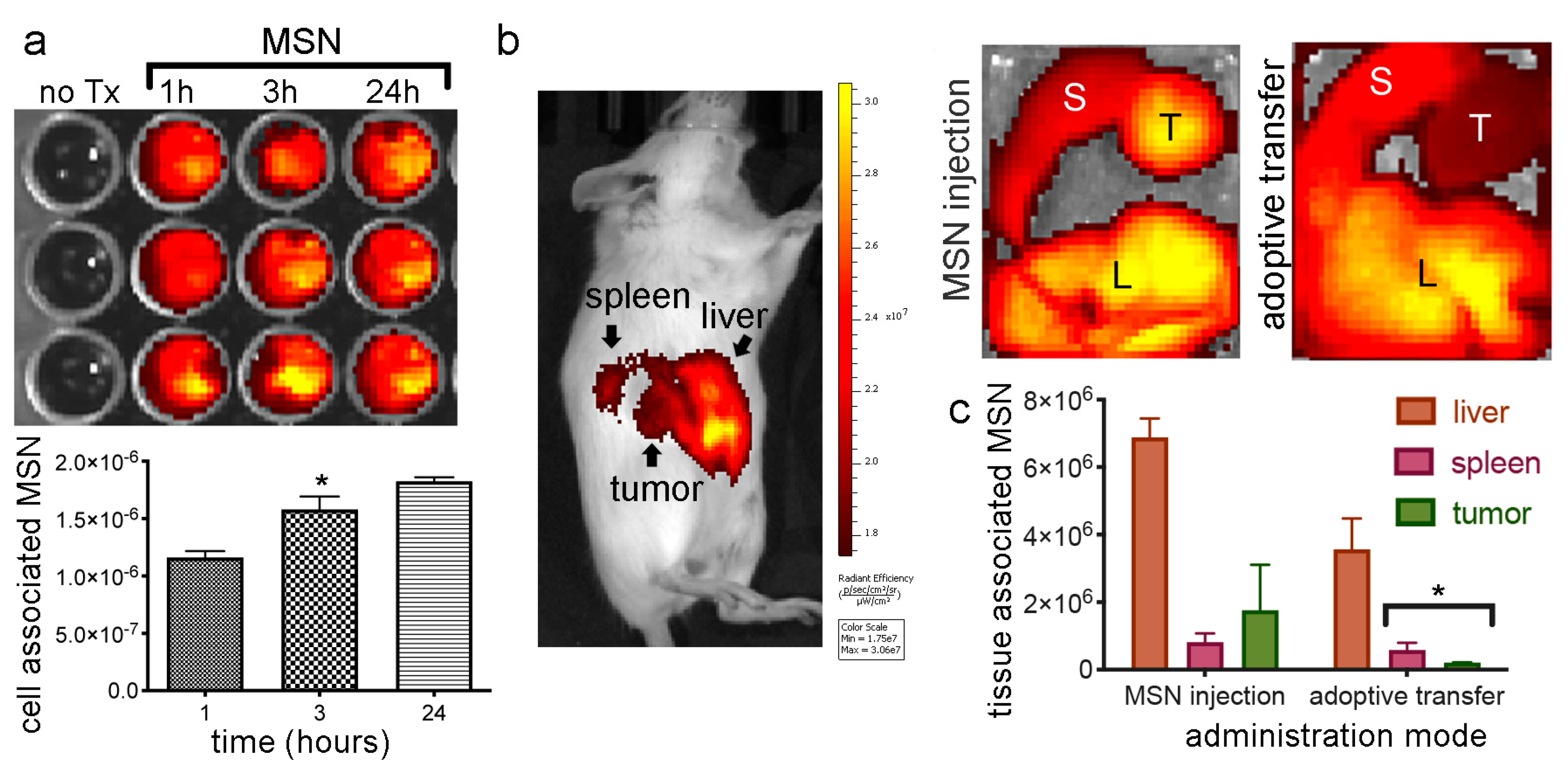 Cancers 12 02892 g007
