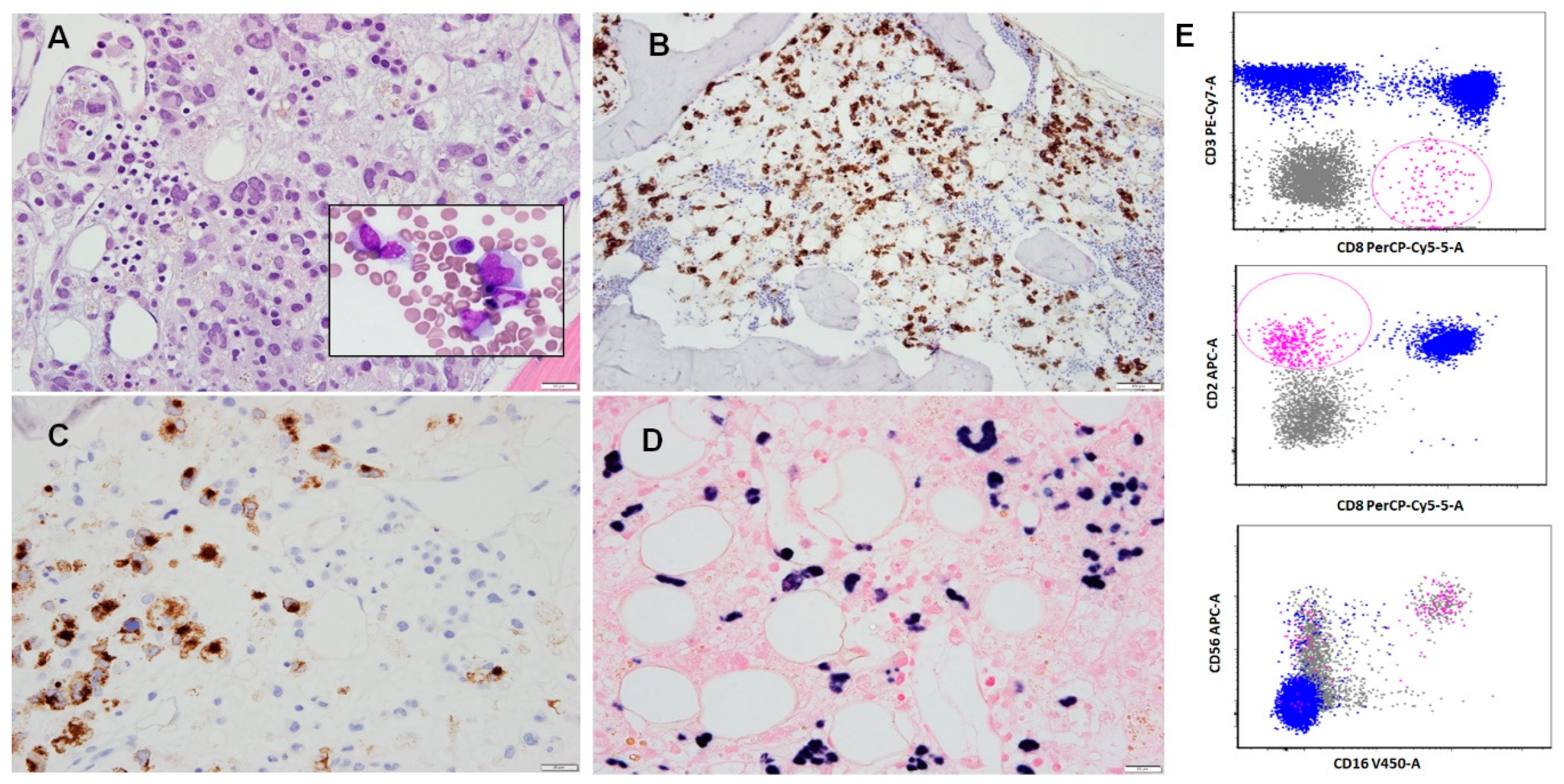 Molecular mechanisms of cell death: recommendations of the