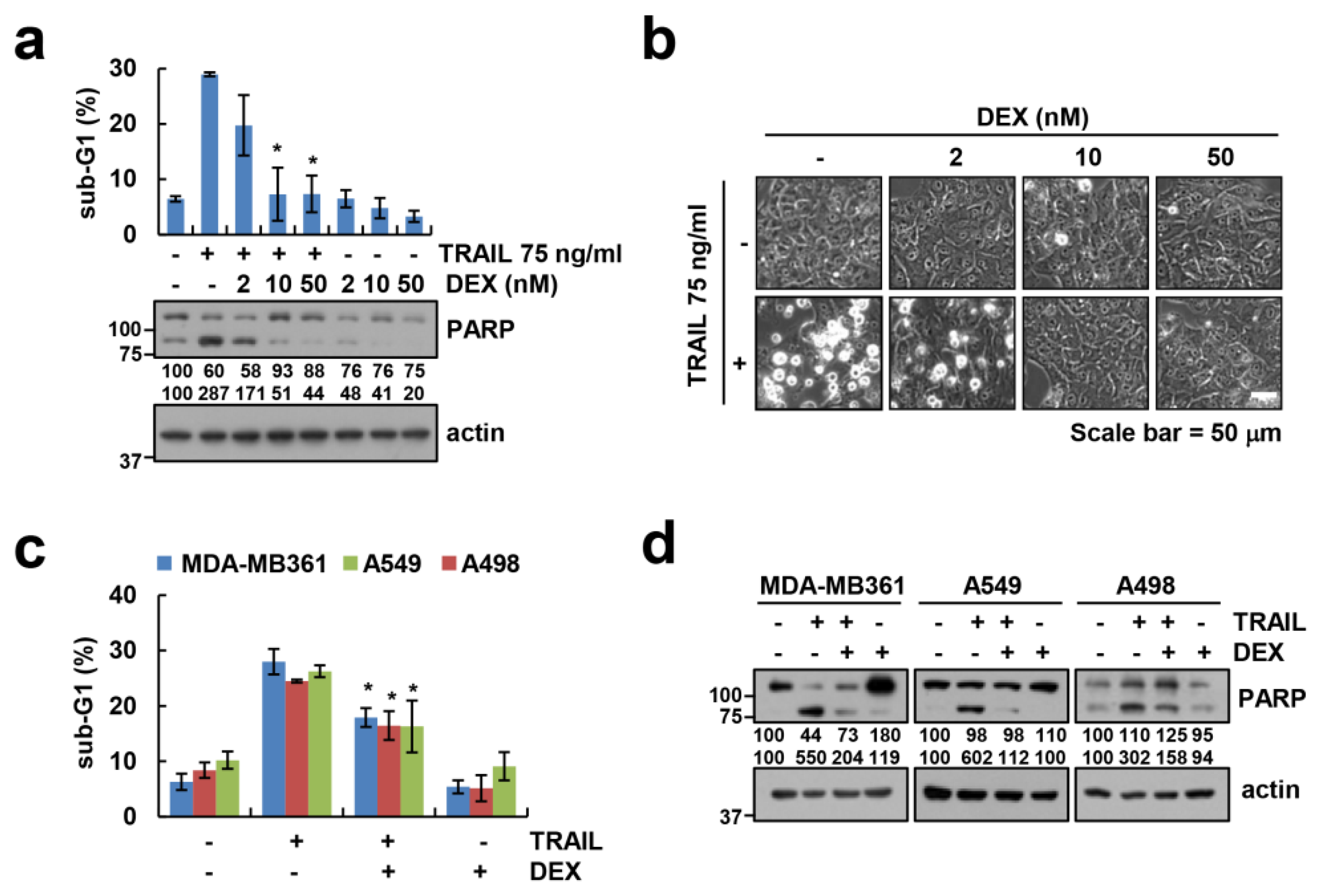 Cancers 12 02901 g001 Cancers 12 02901 g001