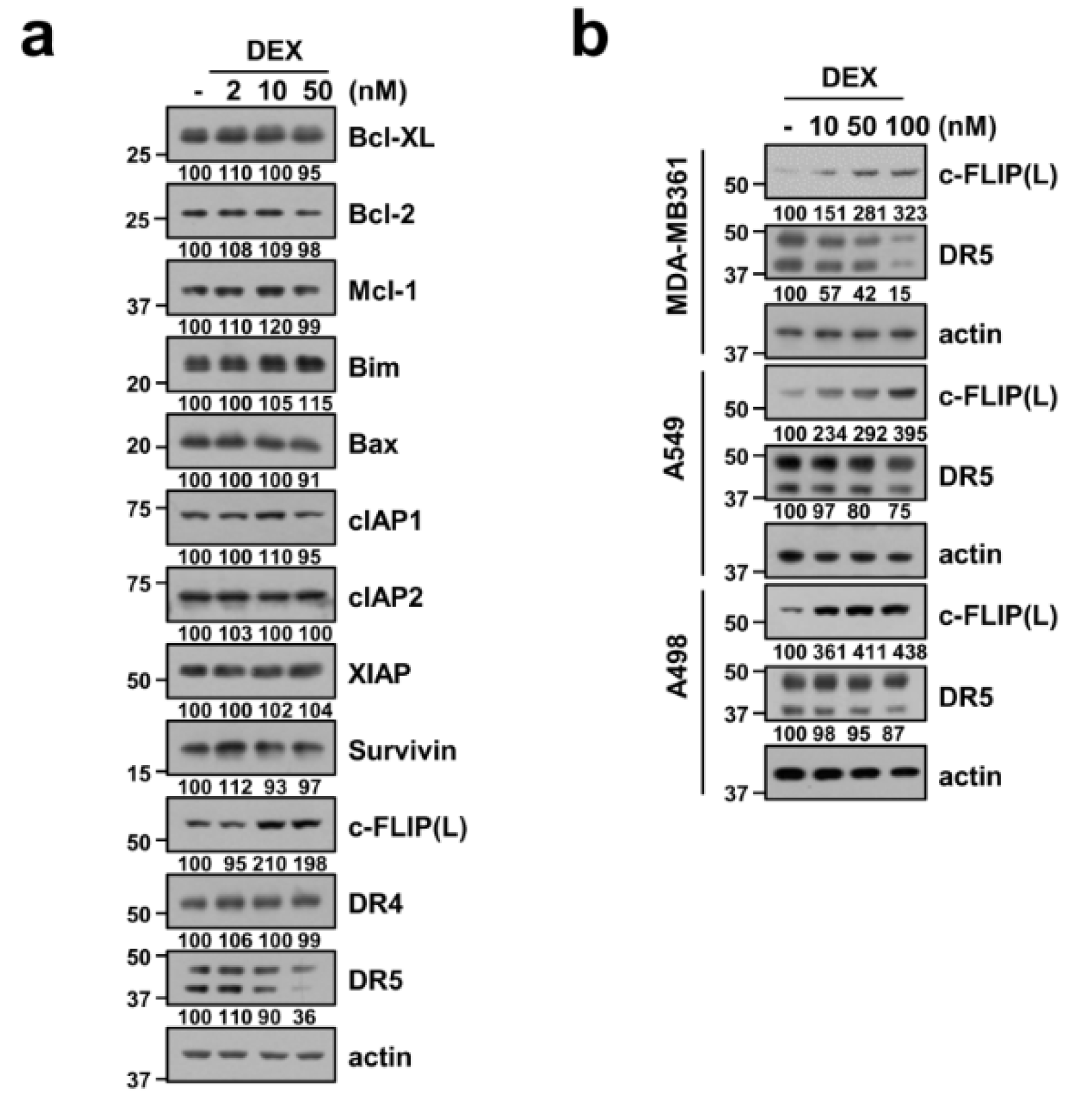 Cancers 12 02901 g002 Cancers 12 02901 g002
