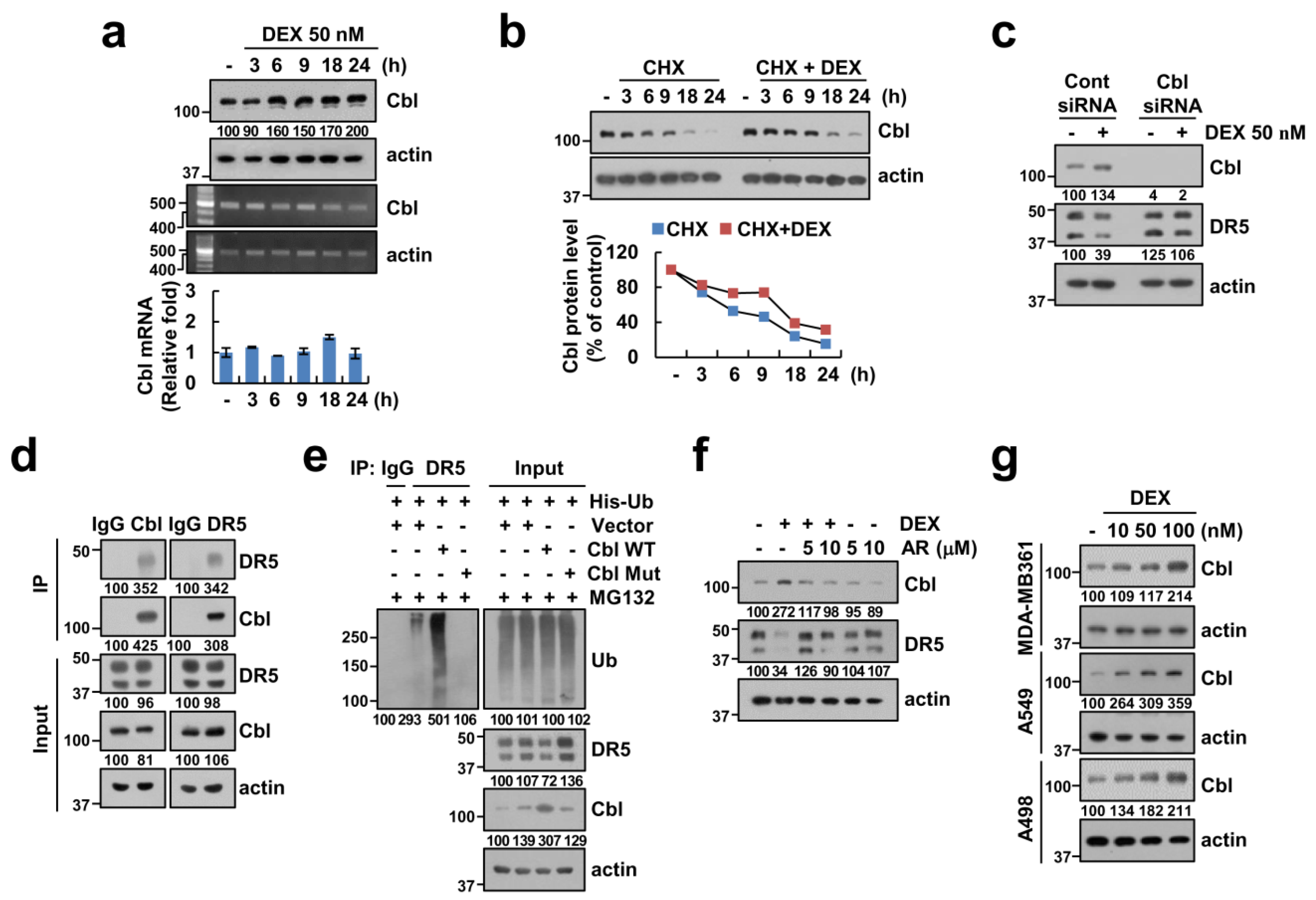 Cancers 12 02901 g006 Cancers 12 02901 g006