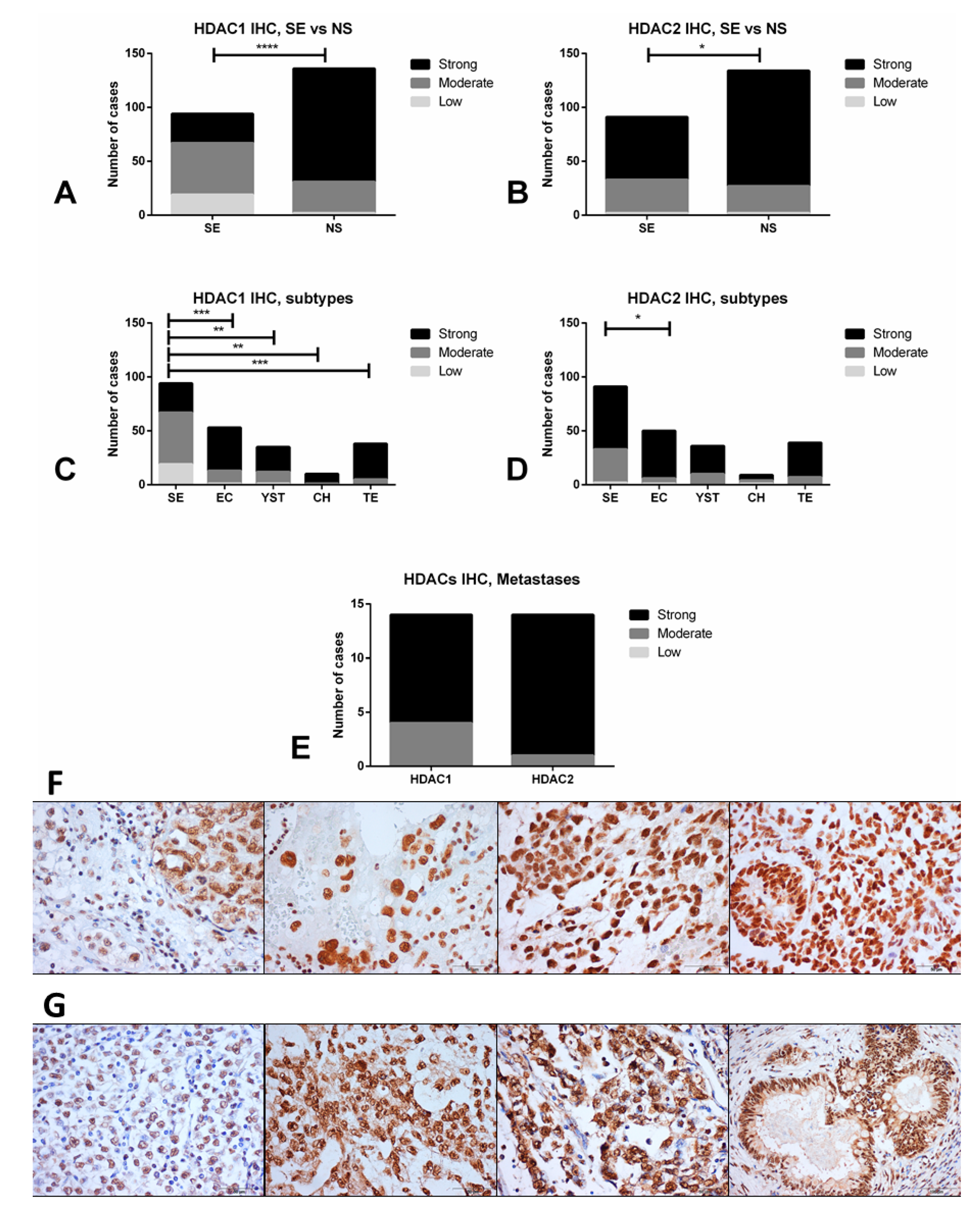 Cancers 12 02903 g002