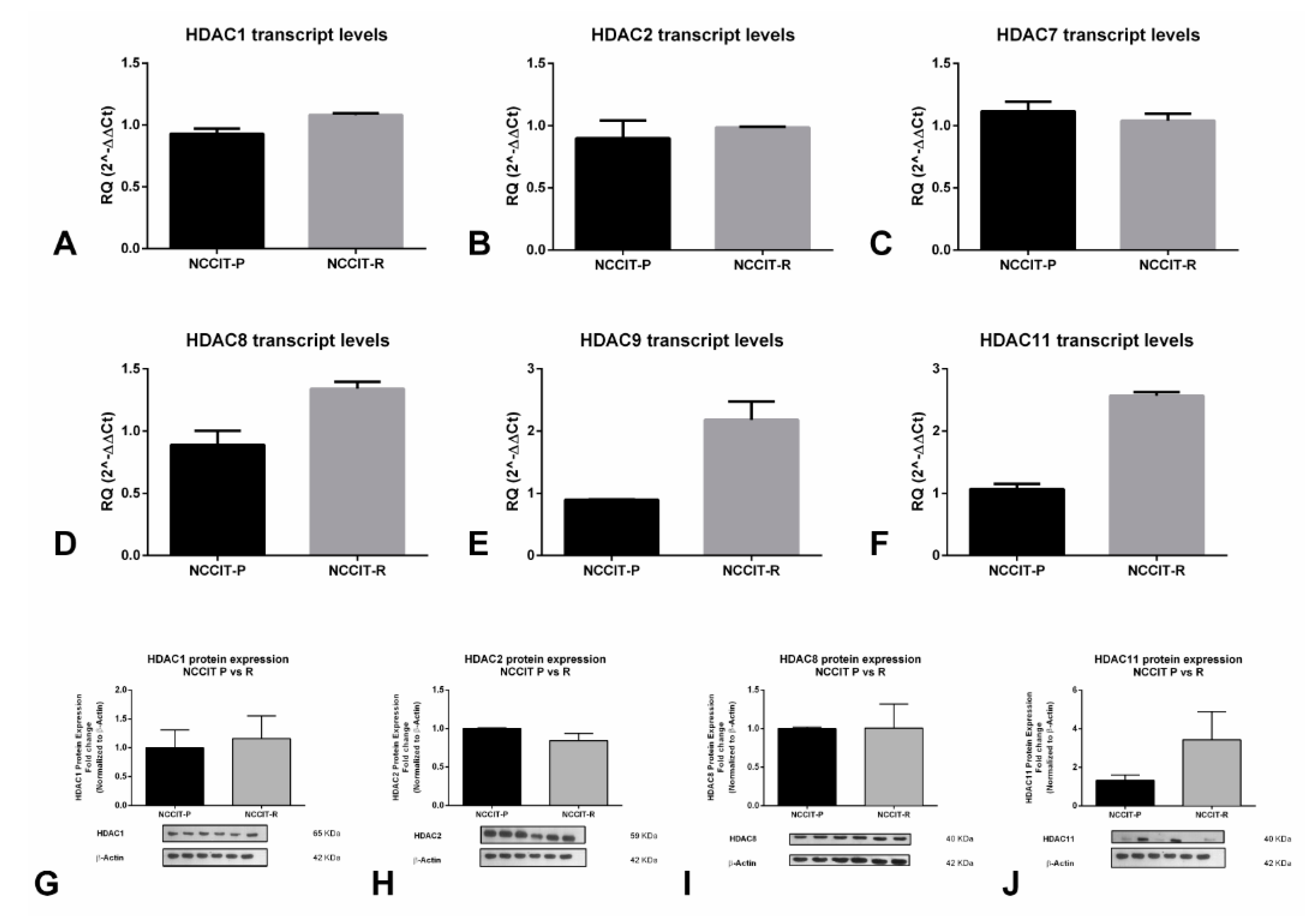 Cancers 12 02903 g003