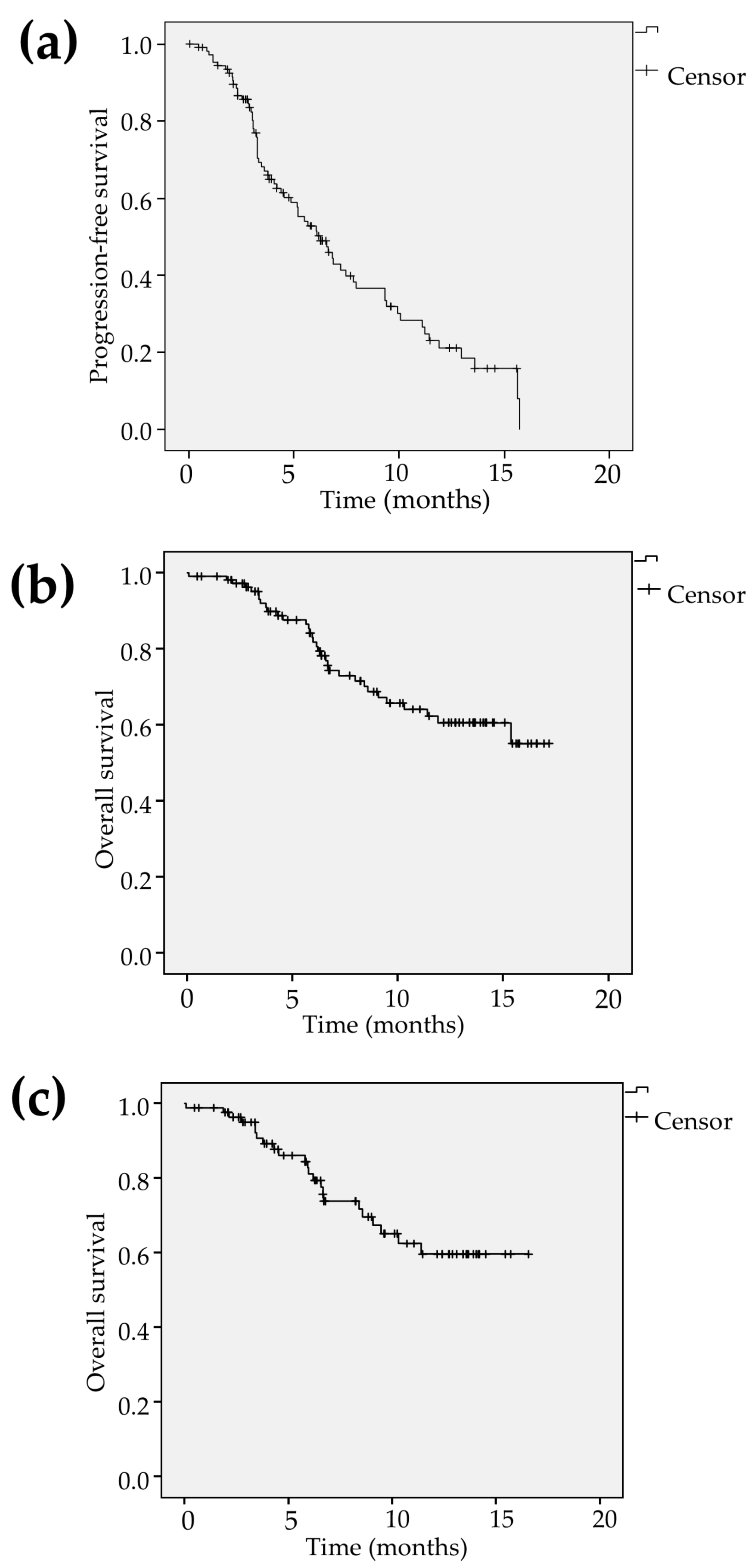 Cancers 12 02906 g001 Cancers 12 02906 g001