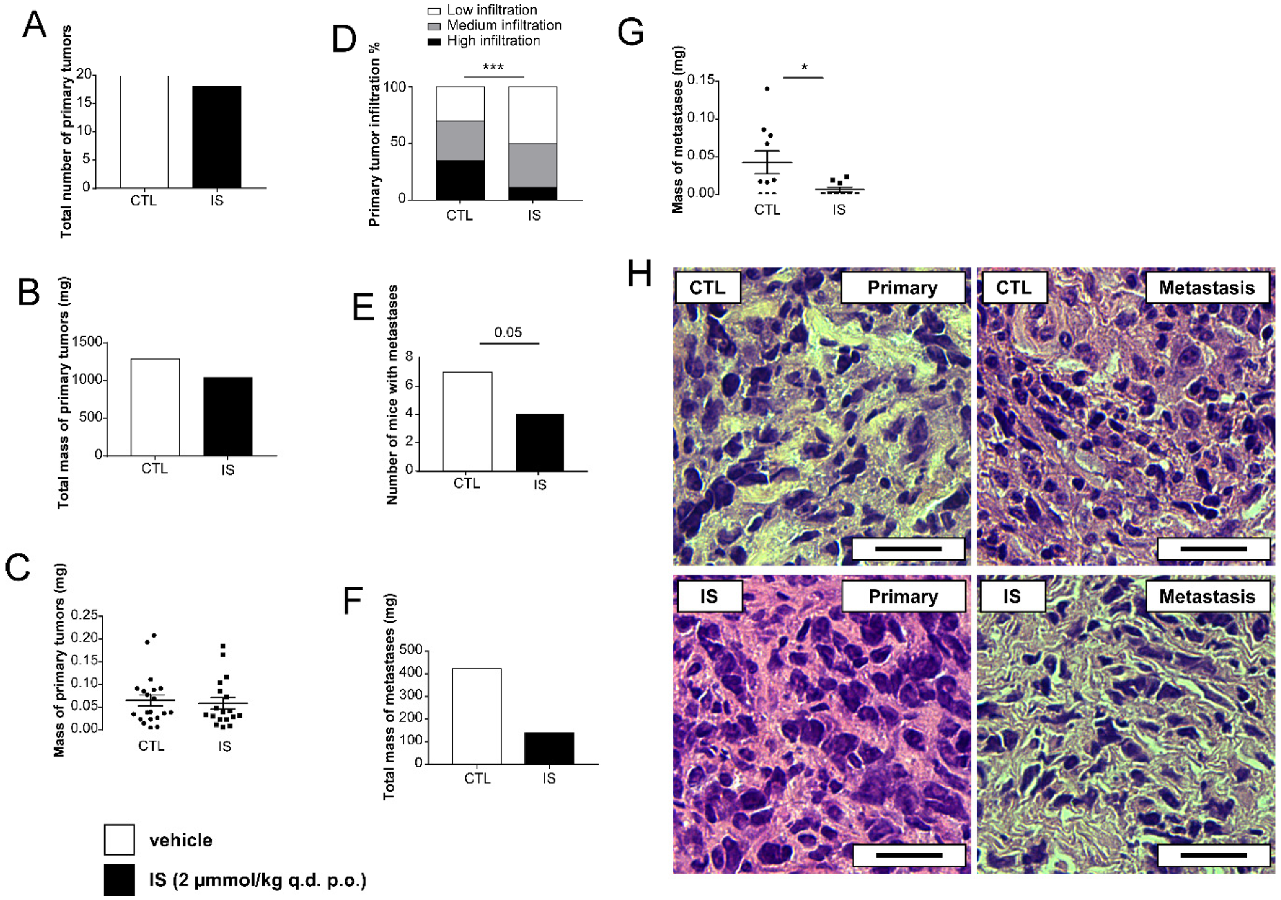 Cancers 12 02915 g001 Cancers 12 02915 g001