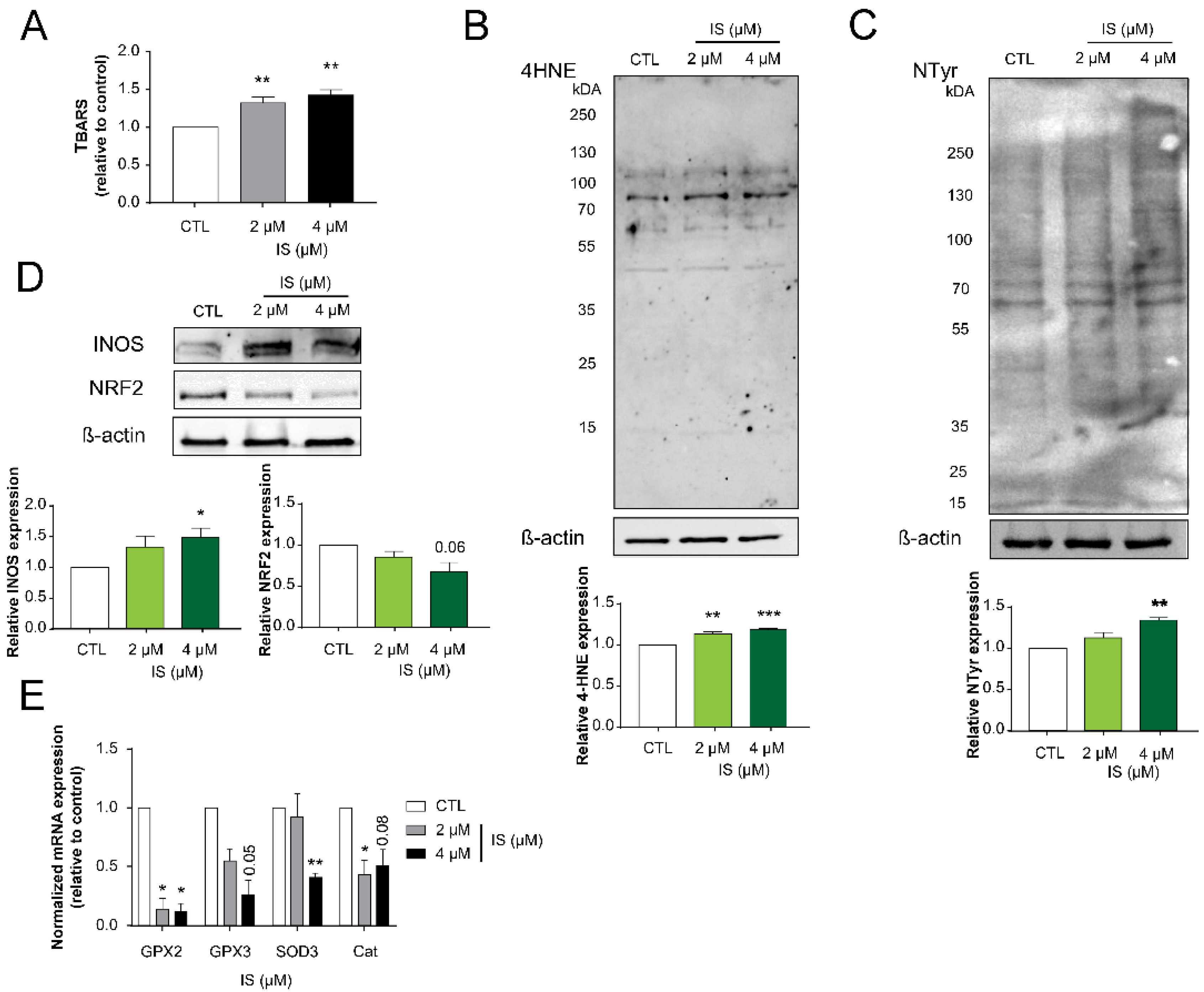 Cancers 12 02915 g003 Cancers 12 02915 g003