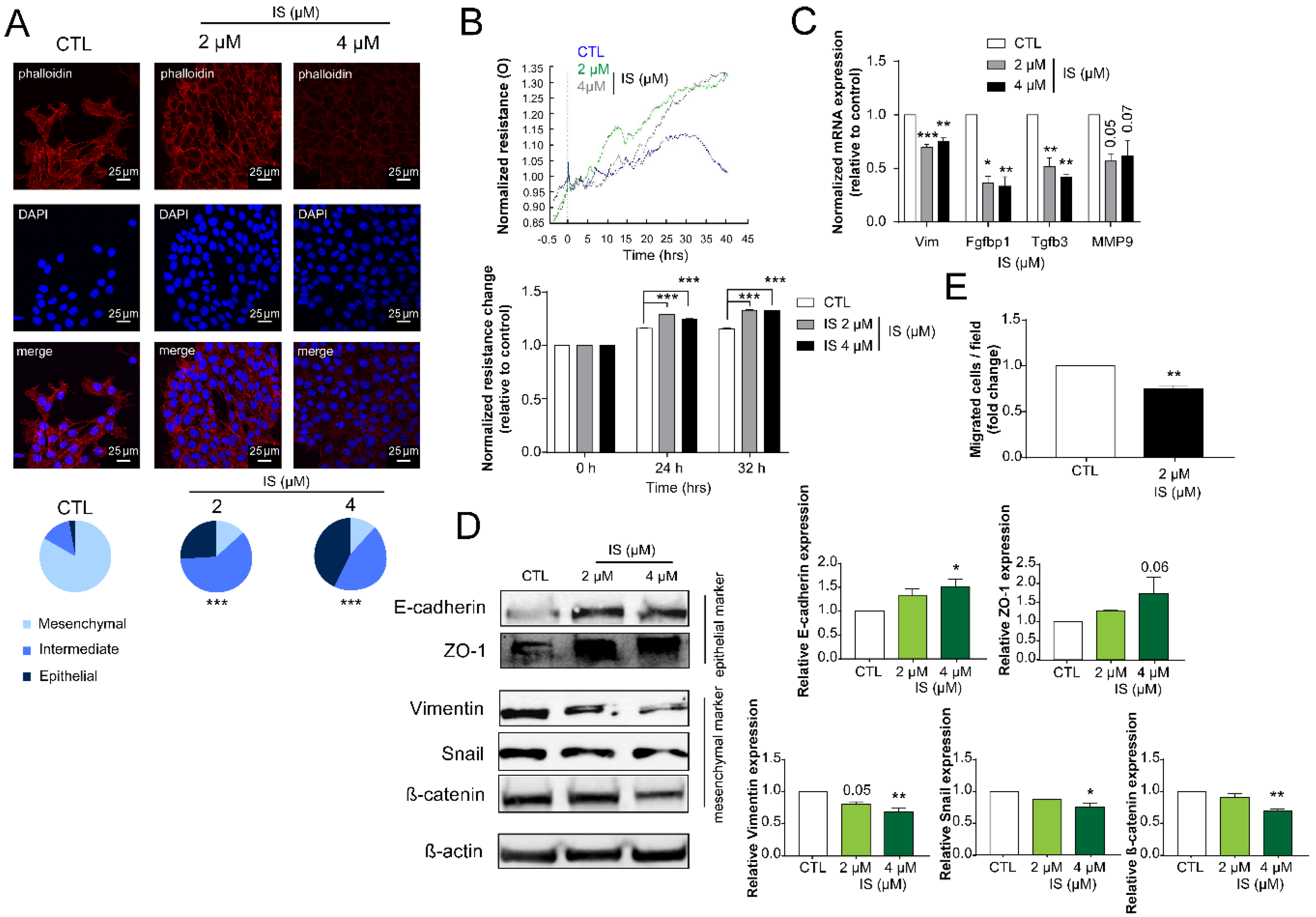 Cancers 12 02915 g004 Cancers 12 02915 g004
