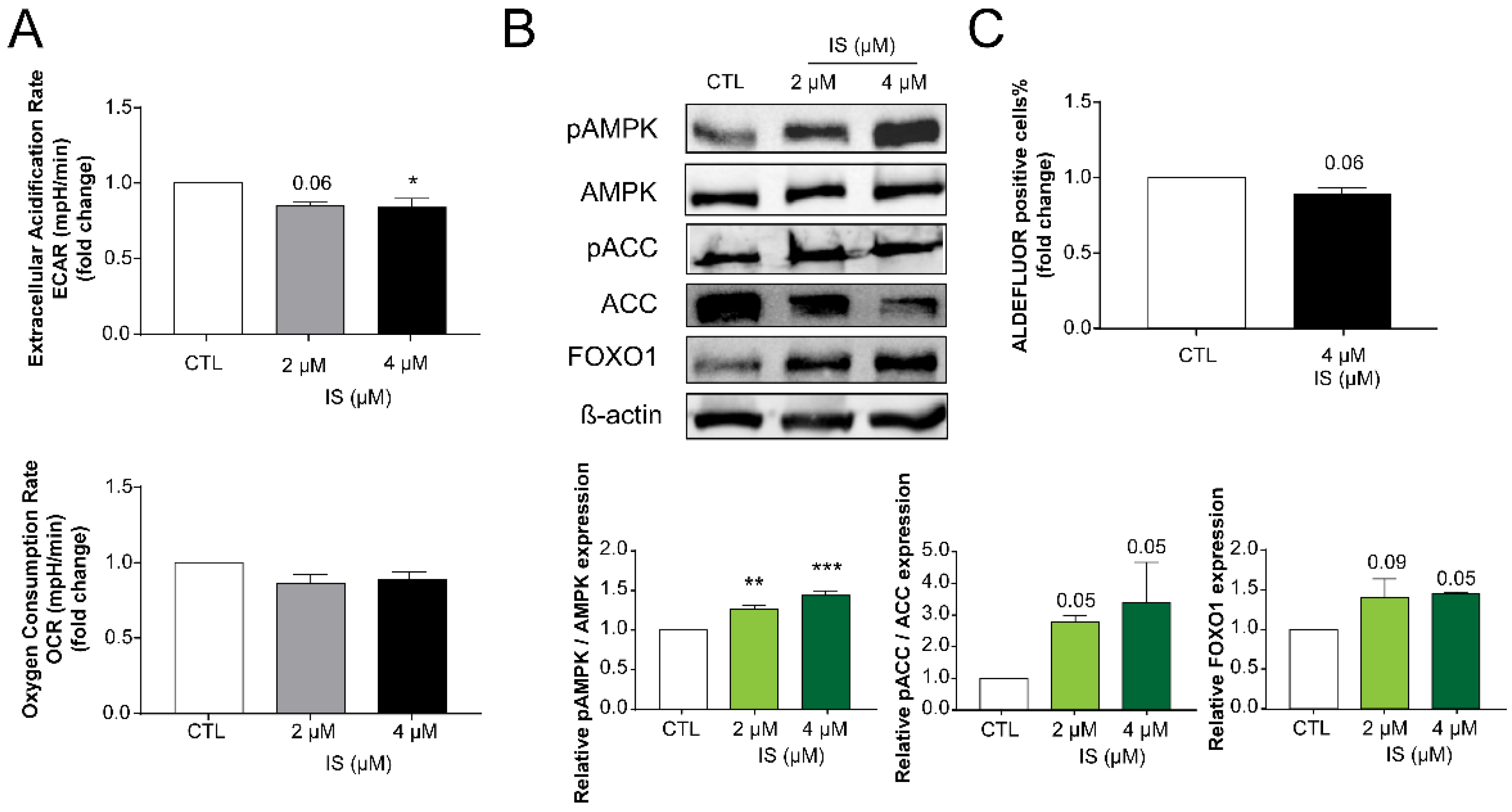 Cancers 12 02915 g005 Cancers 12 02915 g005