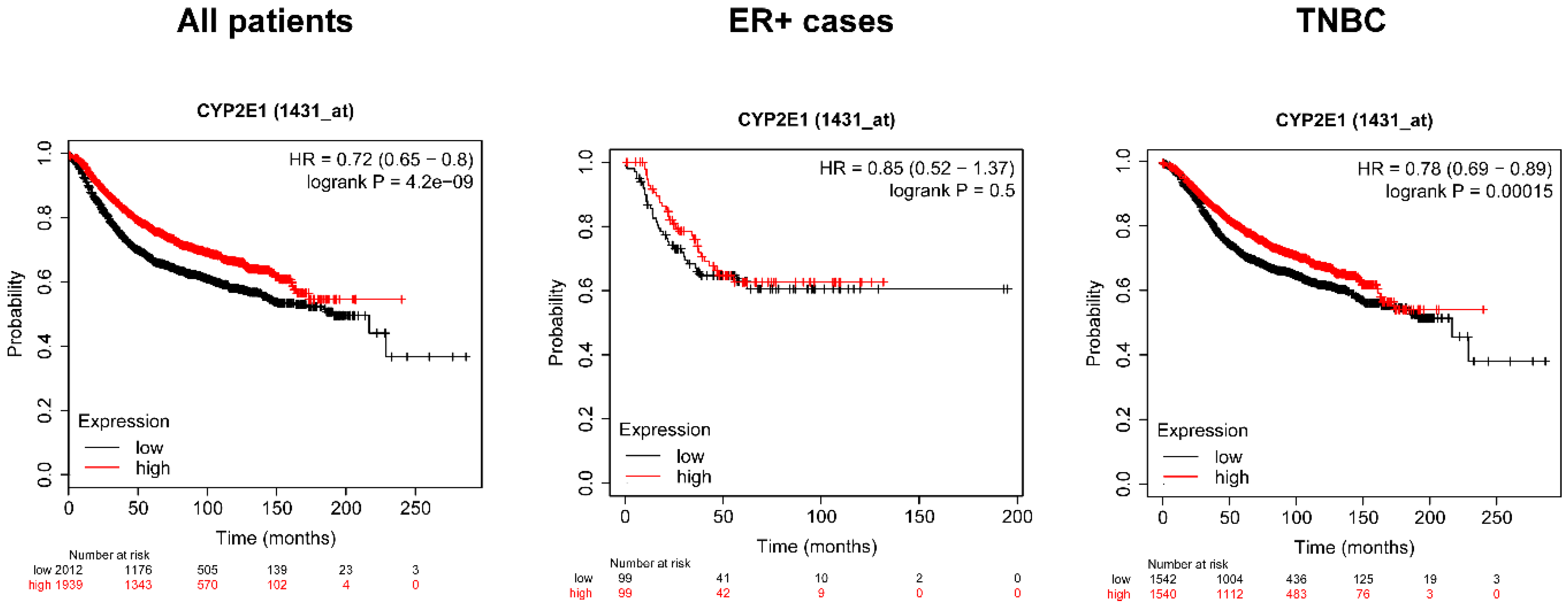 Cancers 12 02915 g007 Cancers 12 02915 g007