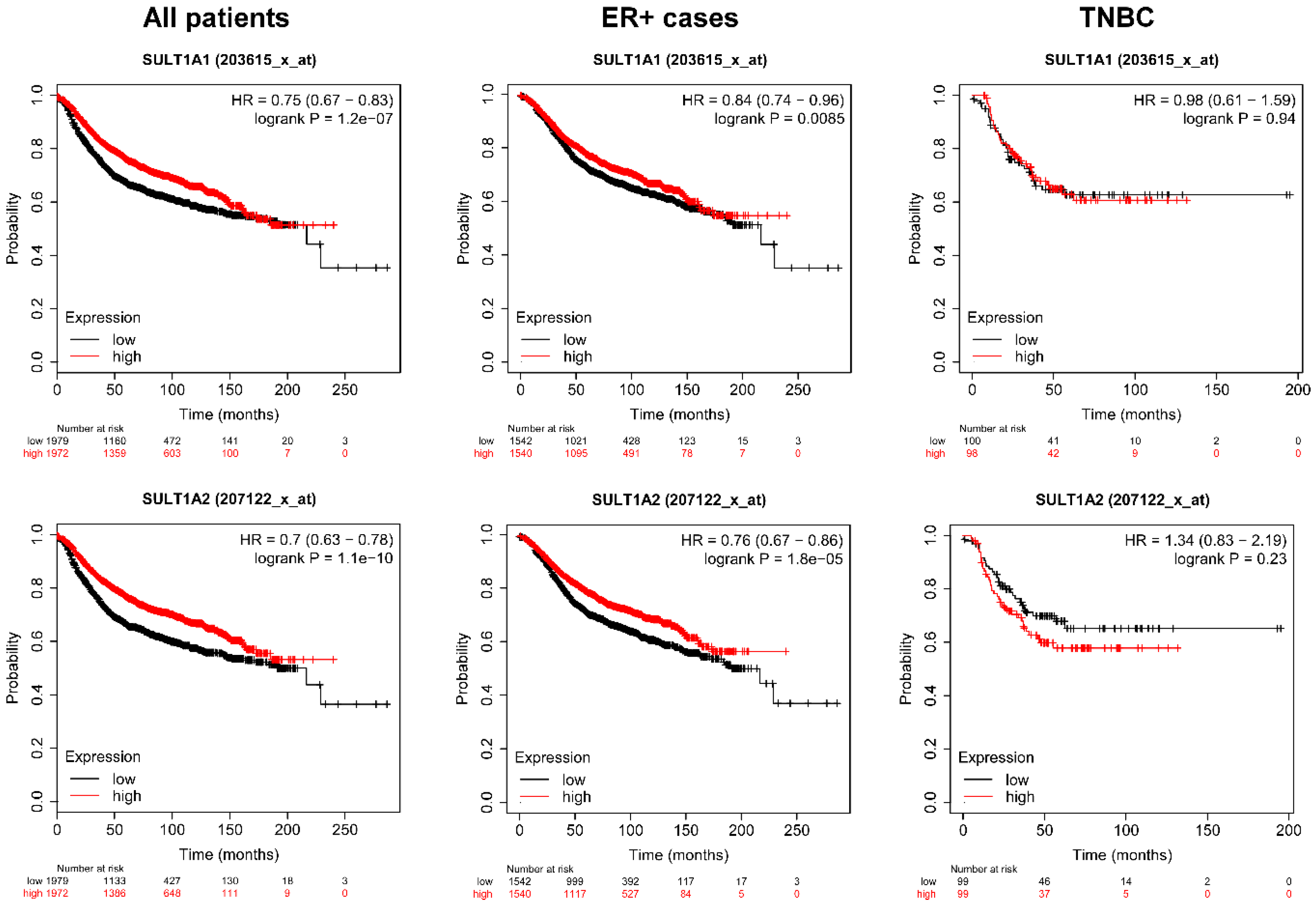 Cancers 12 02915 g008 Cancers 12 02915 g008