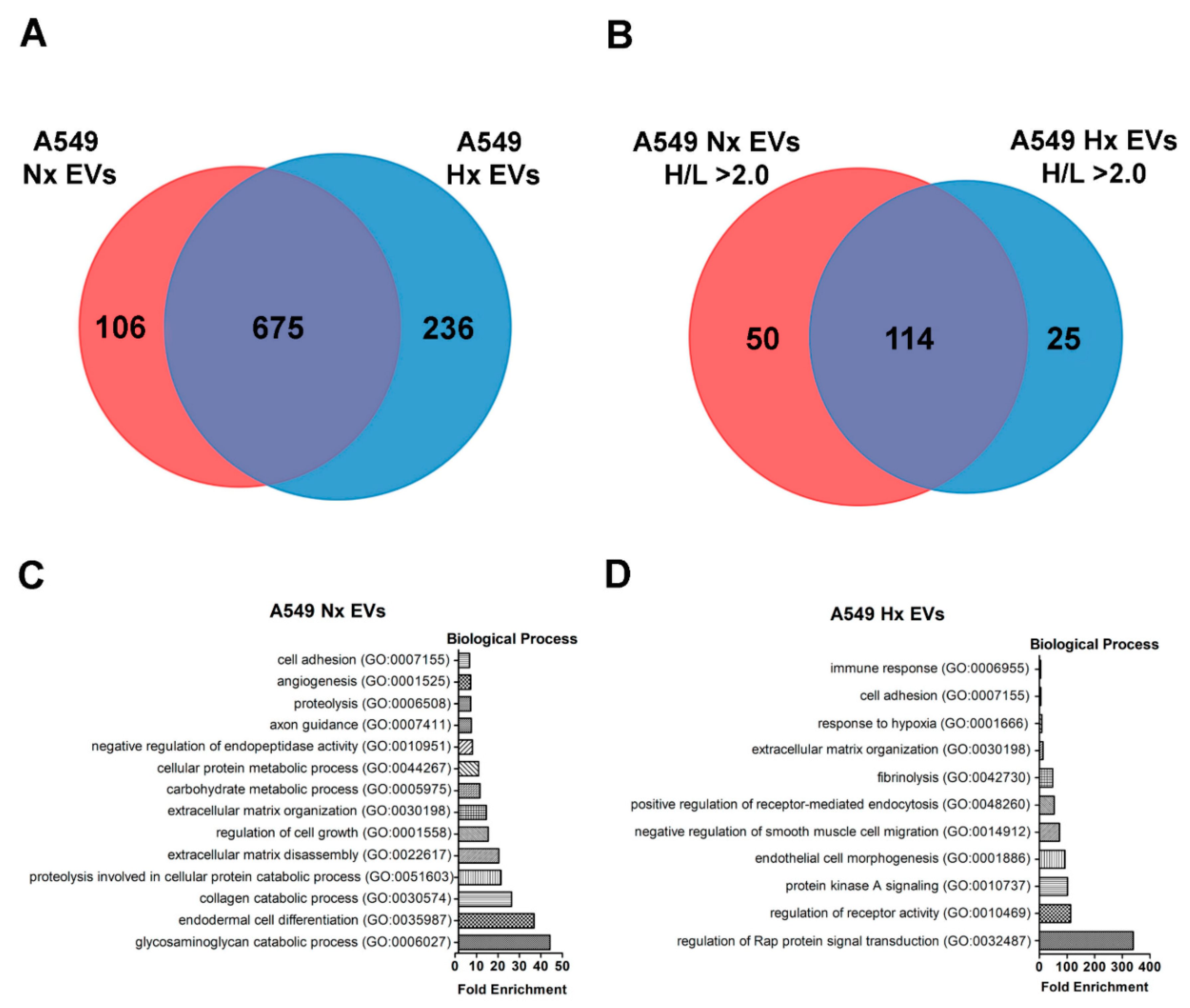 Cancers Free Full Text Microenvironmental Hypoxia Induces Dynamic Changes In Lung Cancer Synthesis And Secretion Of Extracellular Vesicles Html