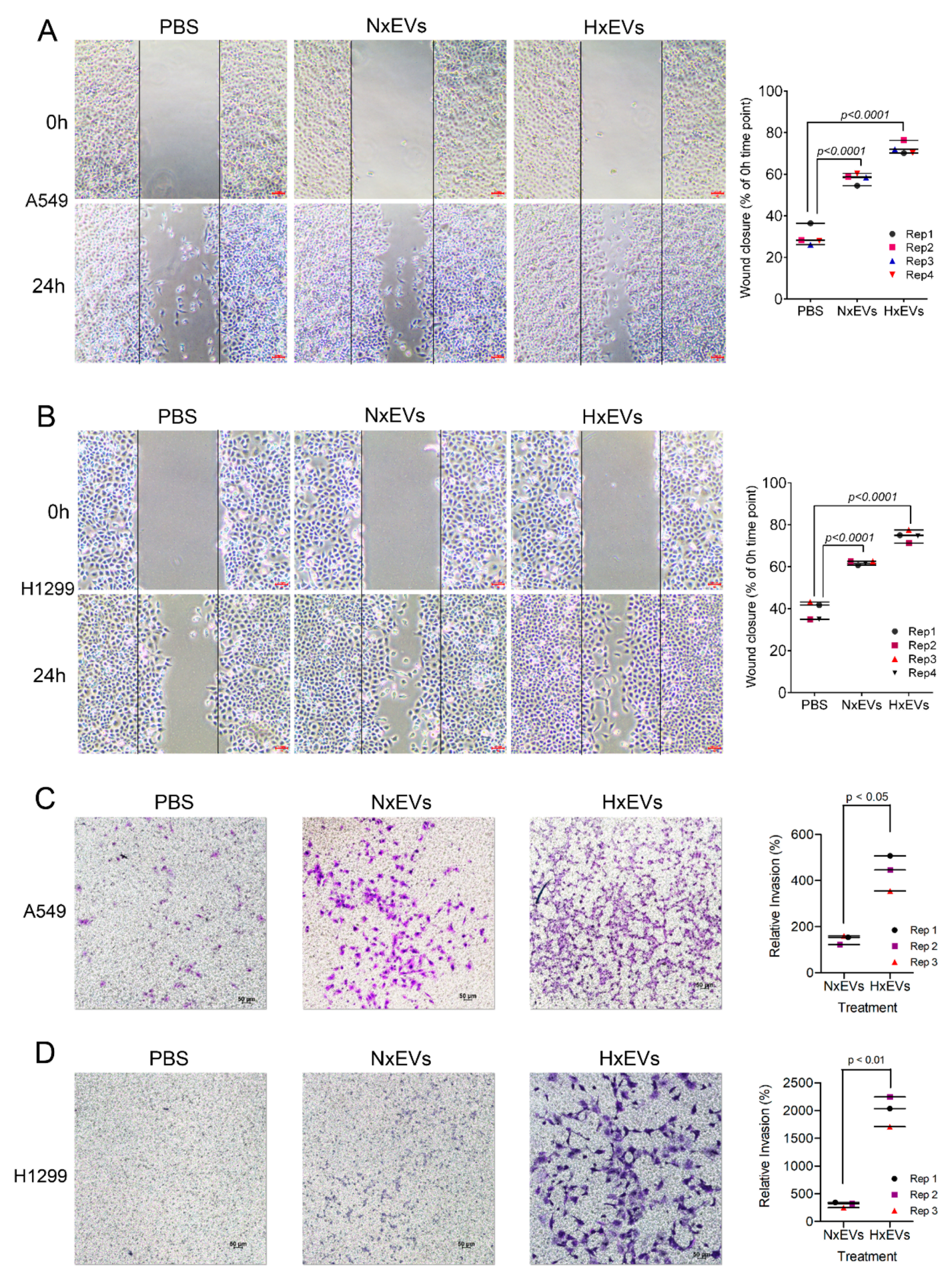 Cancers Free Full Text Microenvironmental Hypoxia Induces Dynamic Changes In Lung Cancer Synthesis And Secretion Of Extracellular Vesicles Html