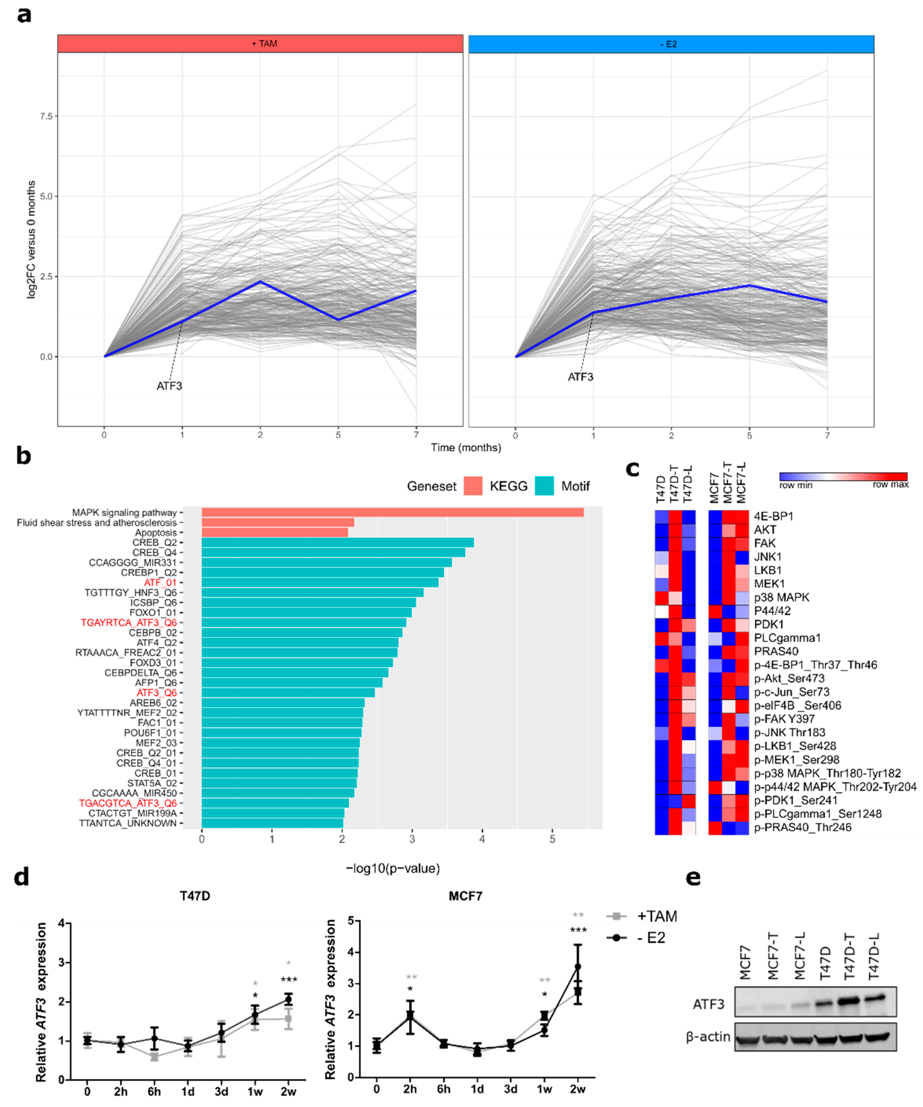 Cancers 12 02918 g001 Cancers 12 02918 g001