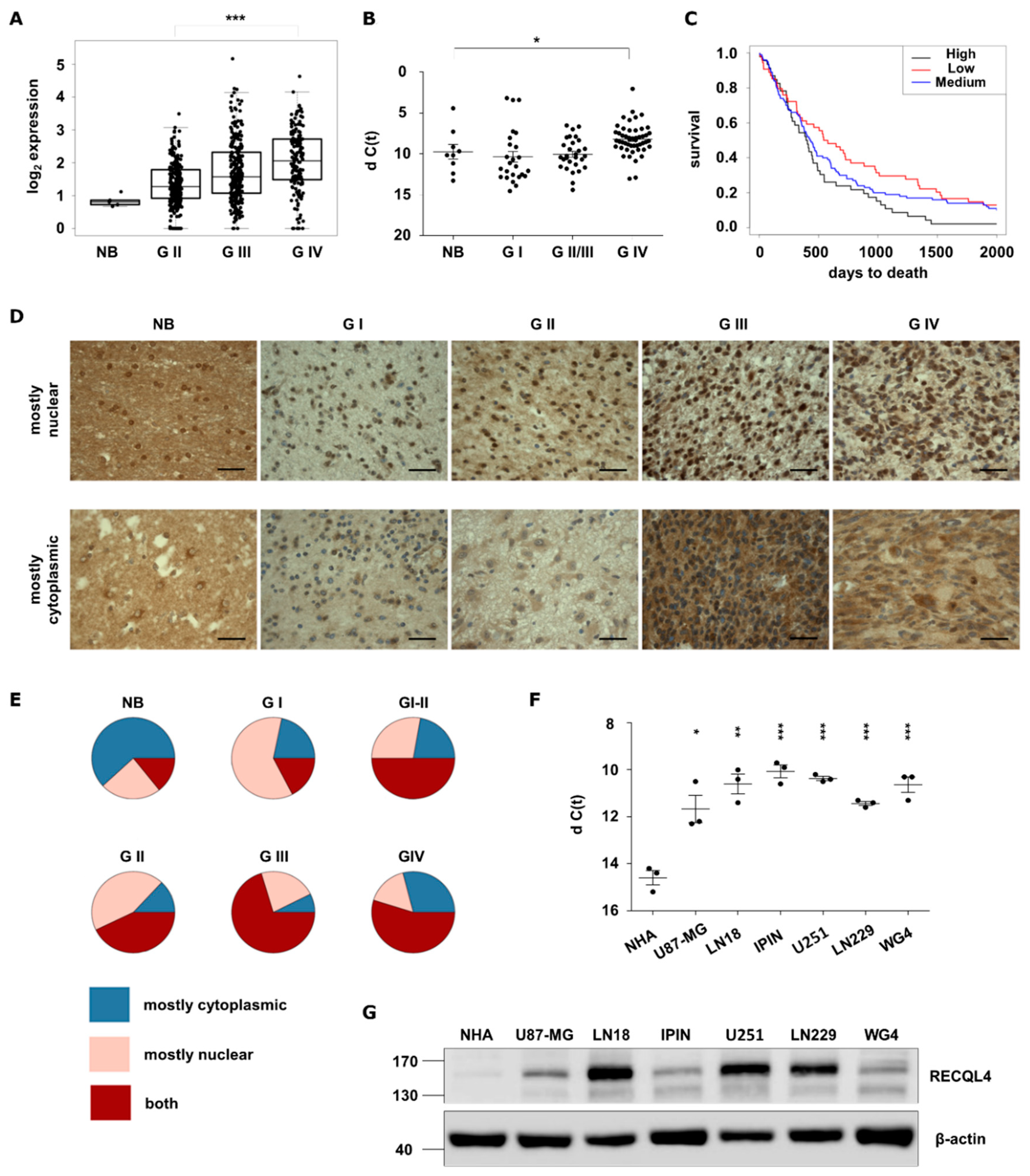 Cancers 12 02919 g001 Cancers 12 02919 g001