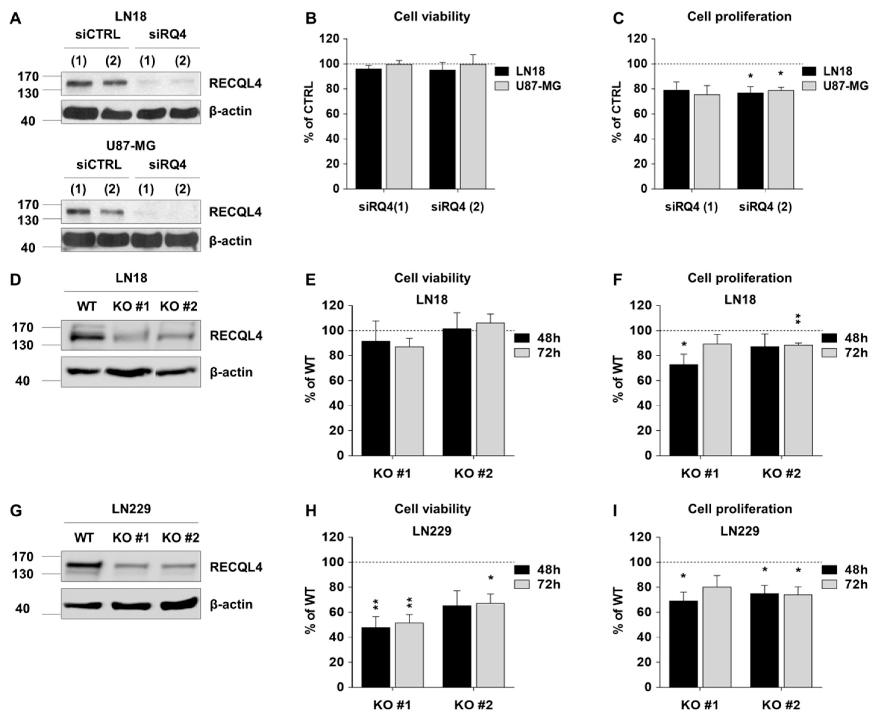 Cancers 12 02919 g002 Cancers 12 02919 g002