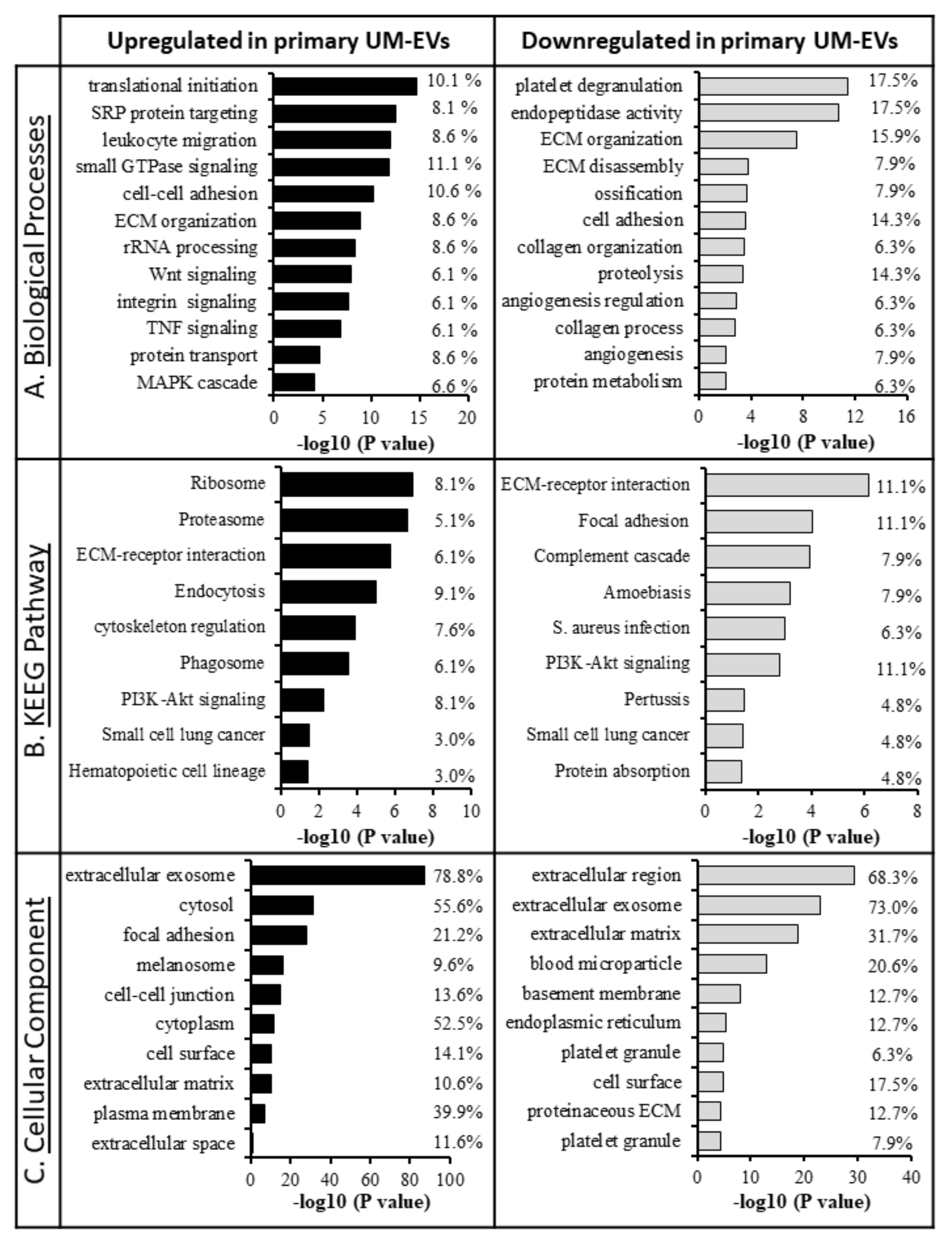 Cancers 12 02923 g009