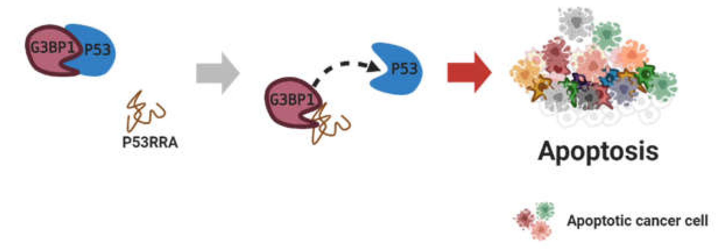 Cancers 12 02925 g004