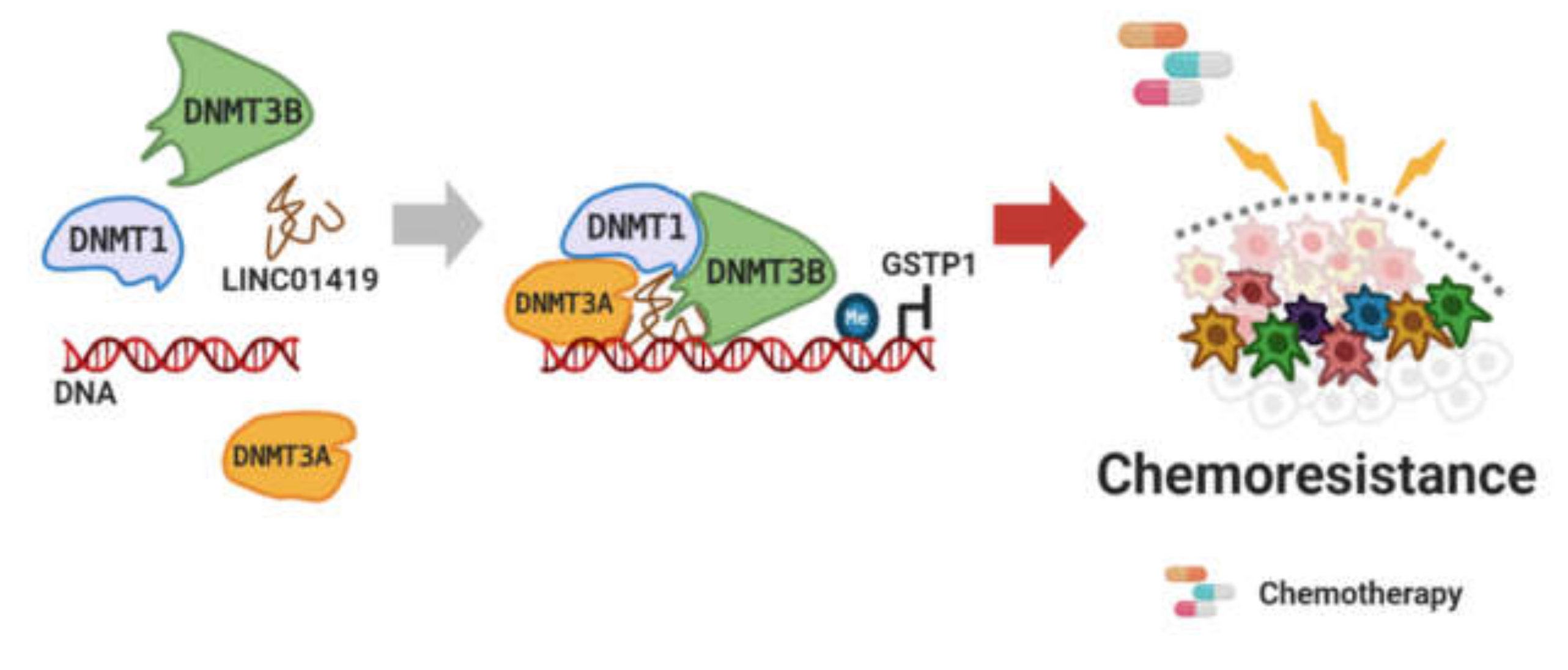 Cancers 12 02925 g007